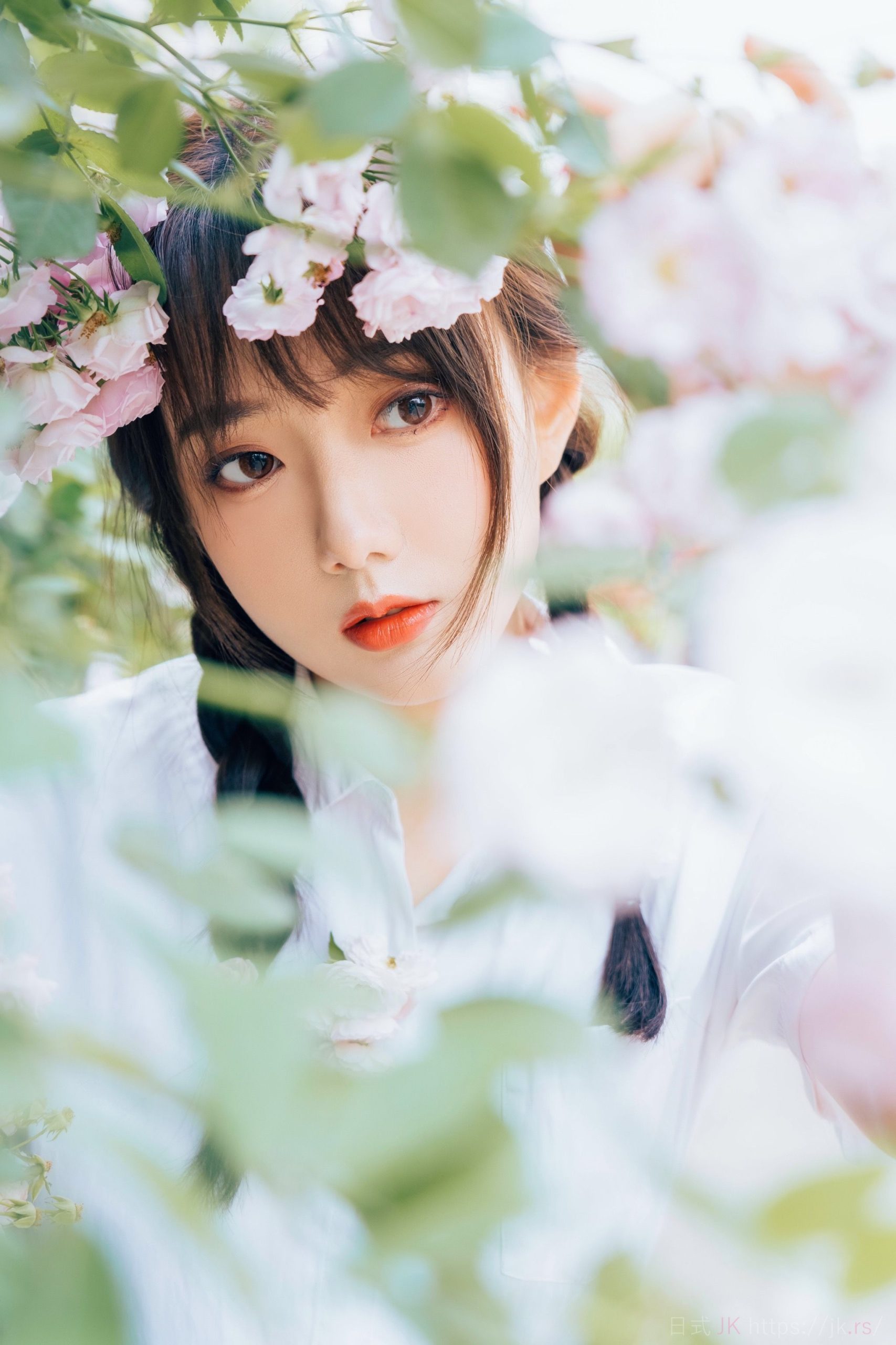 春风格外温柔