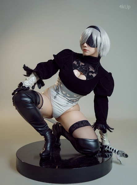 Coser@麻花麻花酱 尼尔机械纪元 2B