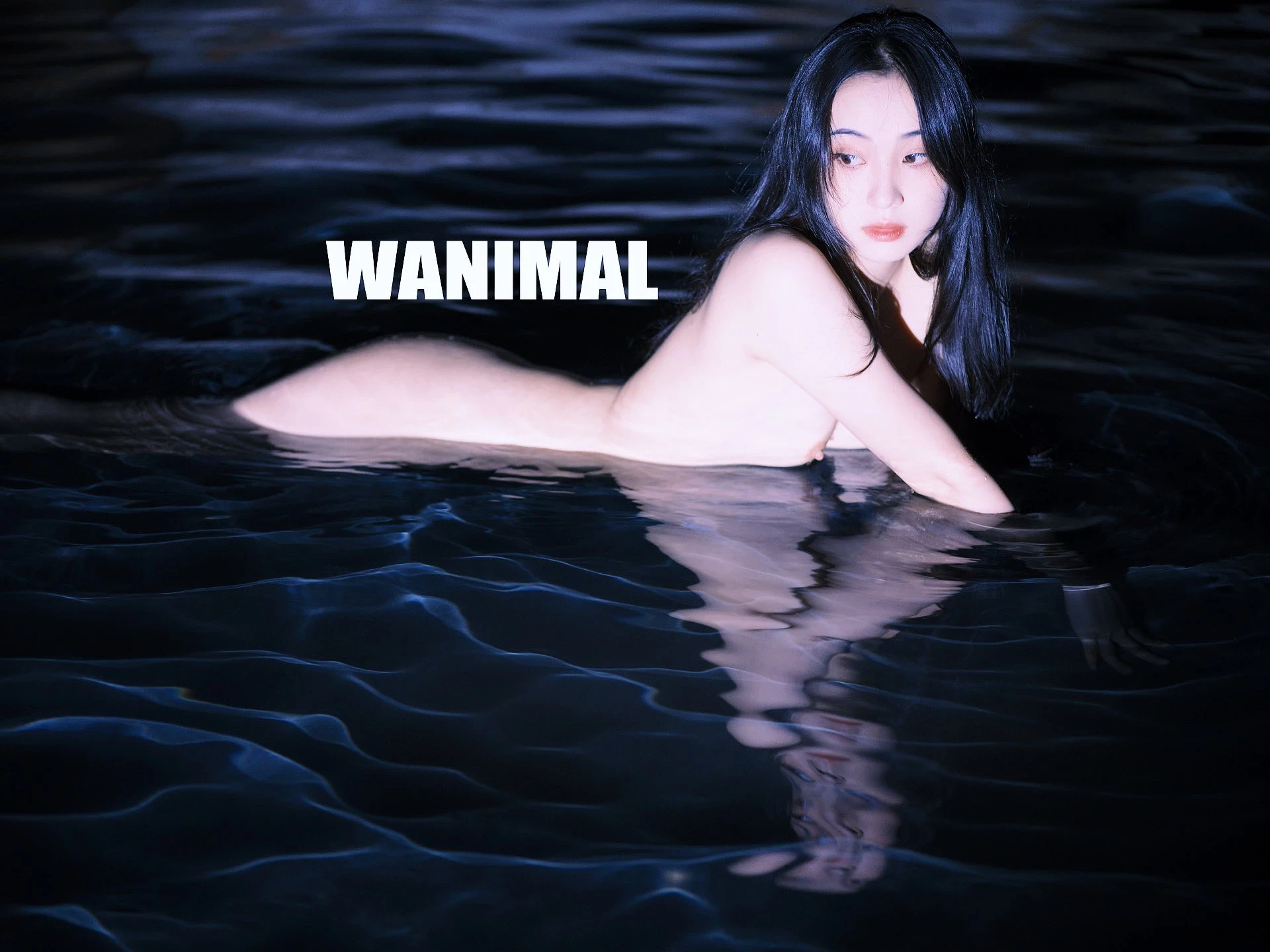 (攝影師)@WANIMAL912 (343P)