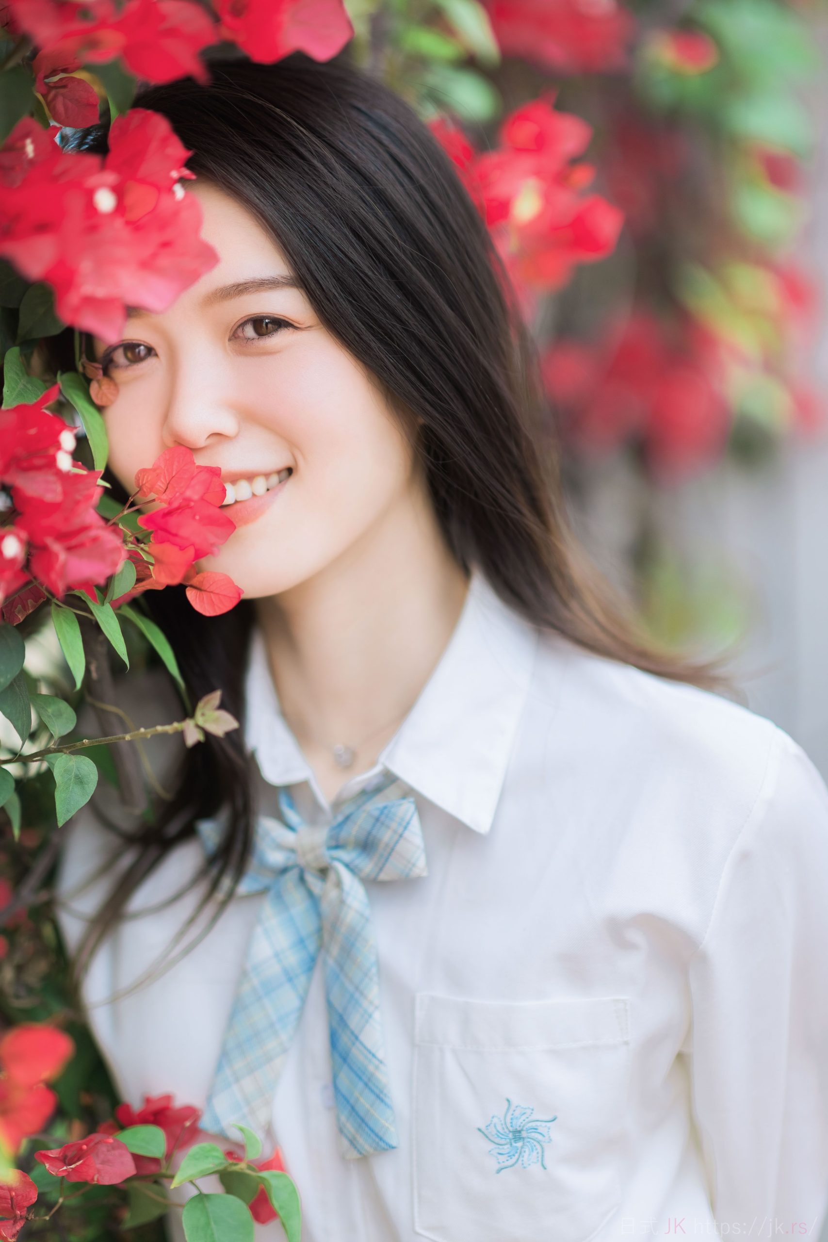 夏天の风