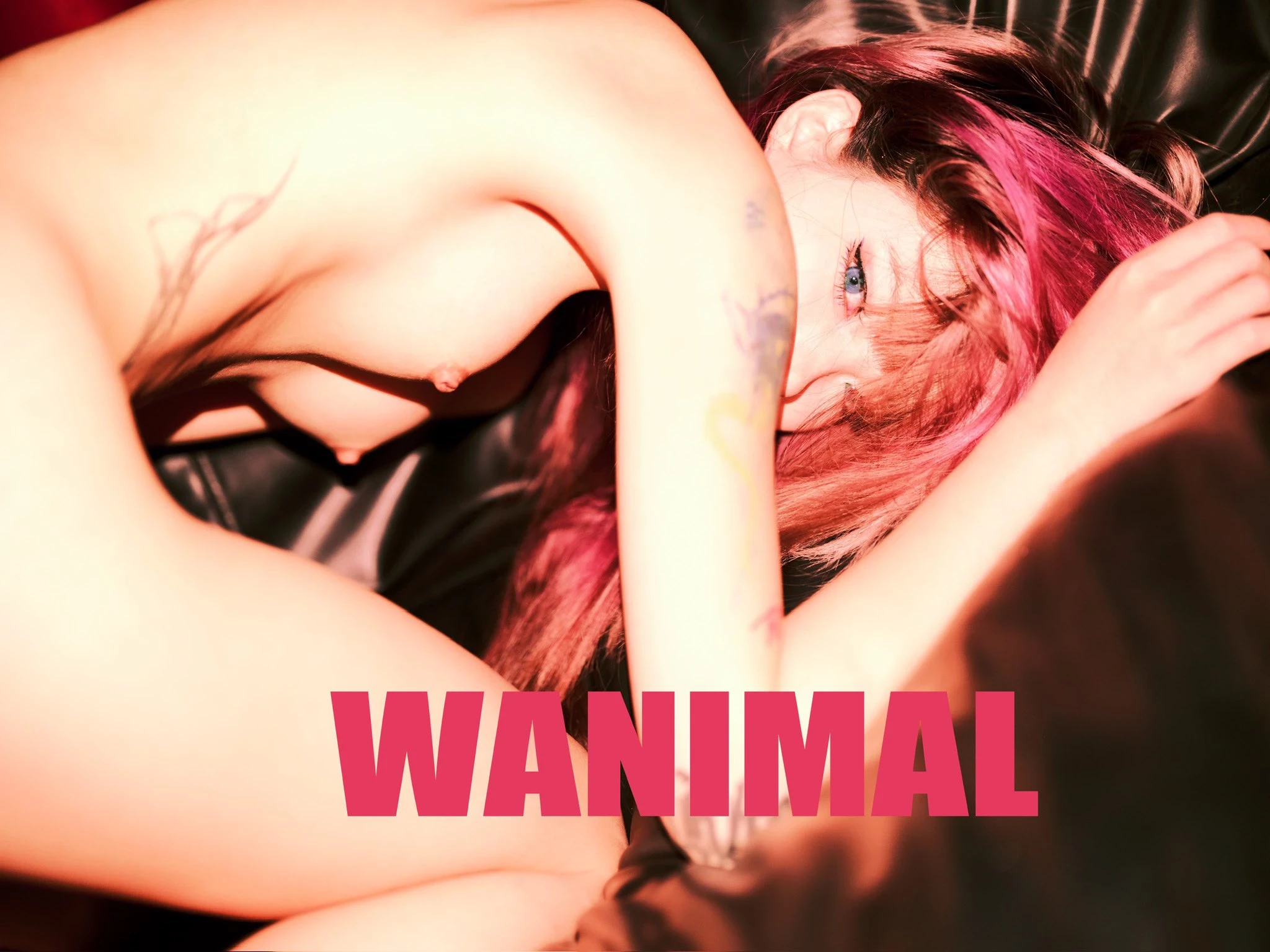 (攝影師)@WANIMAL912 (343P)