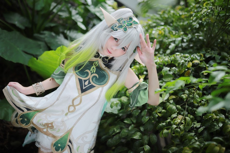 Coser@上杉绘梨落 纳西妲