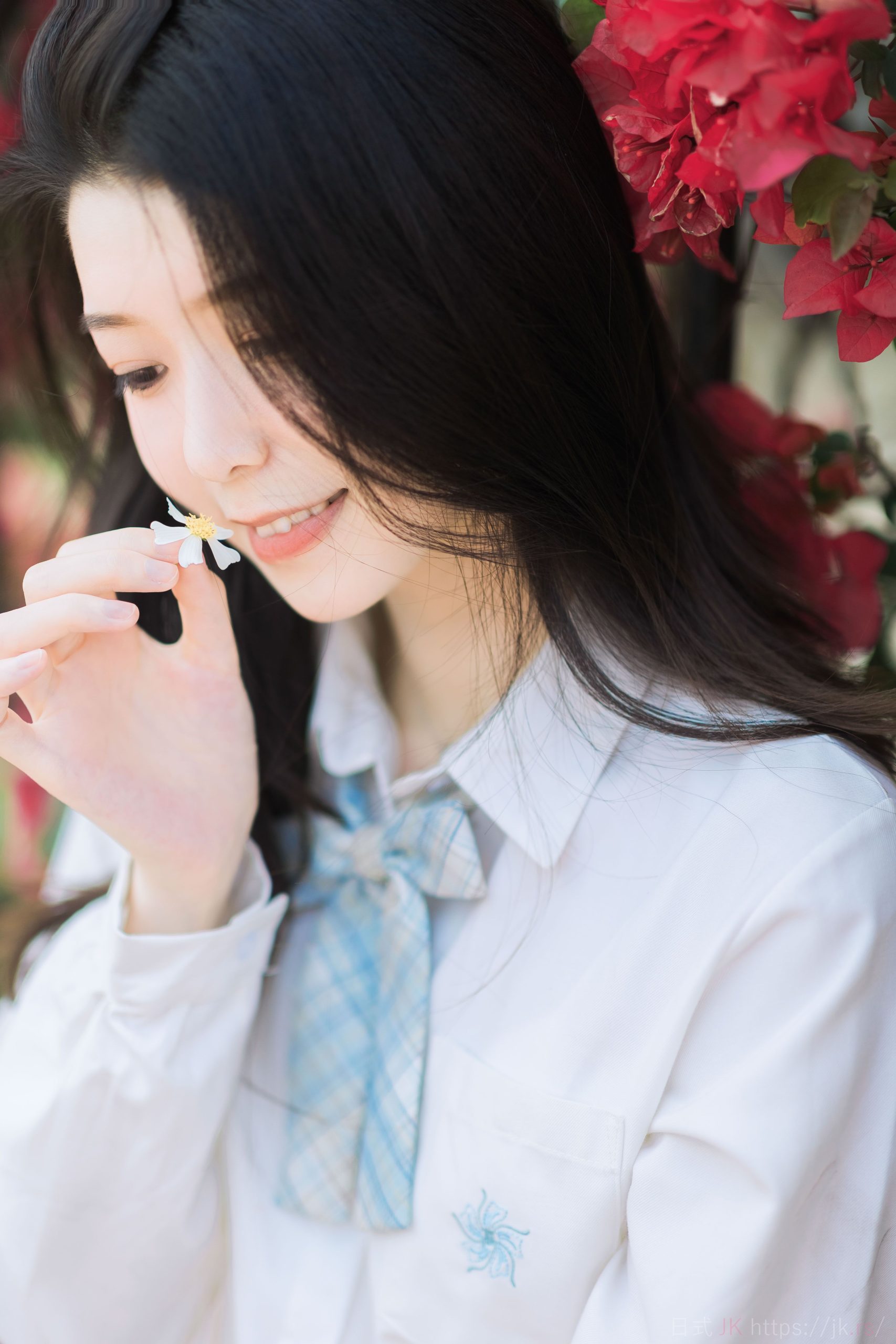 夏天の风