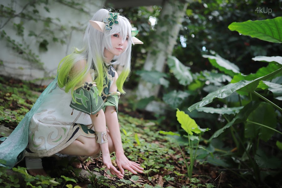 Coser@上杉绘梨落 纳西妲