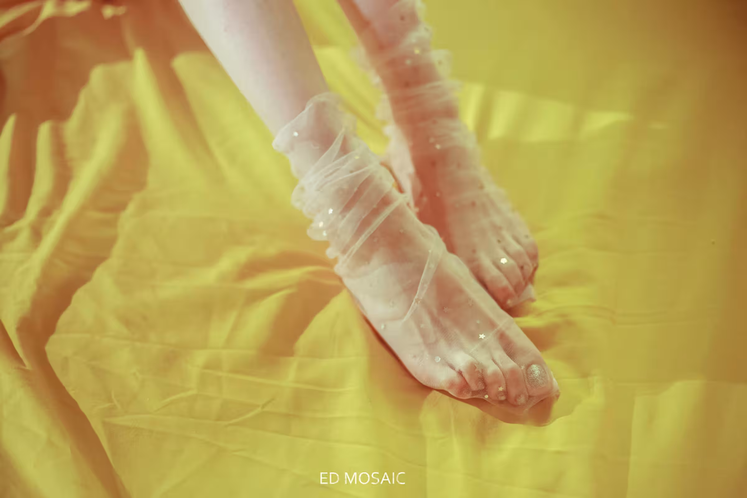(ED Mosaic)攝影師 Ed Mosaic 作品集一 (438P)