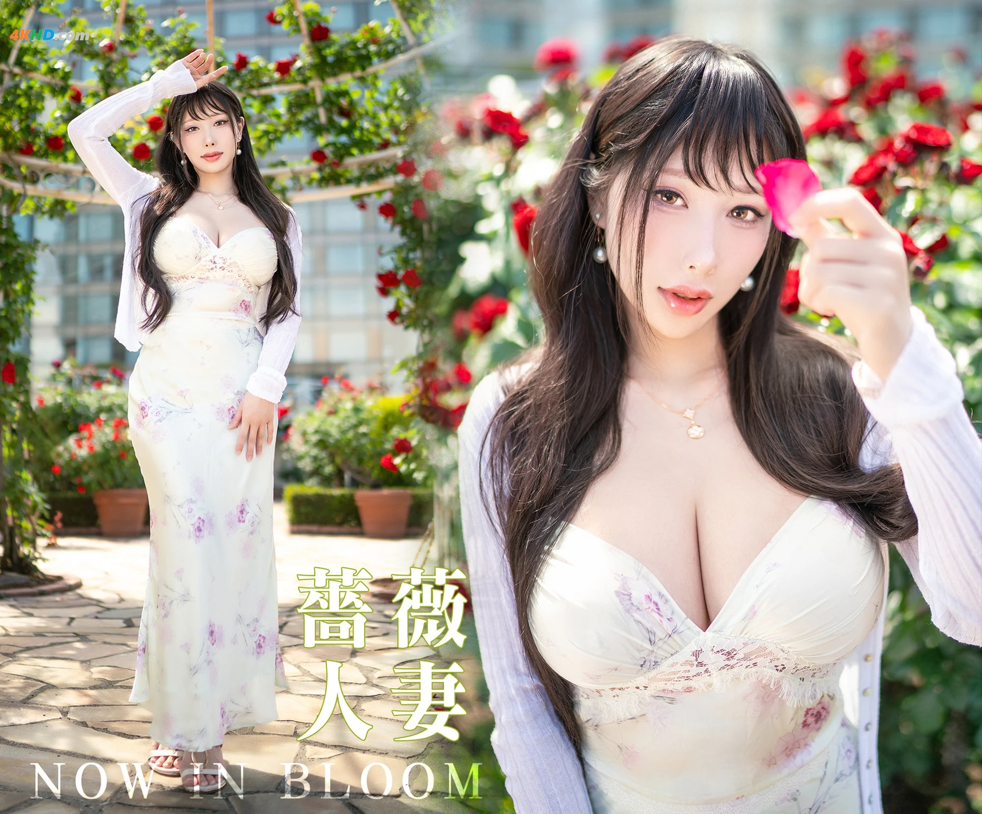 HaneAme雨波 2025年8月订阅 原创 玫瑰刚好绽放[175MB-33photos]