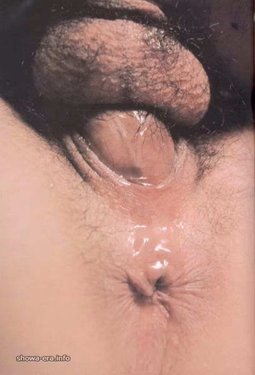 烏拉書中的色情明星Tokugawa(60p)