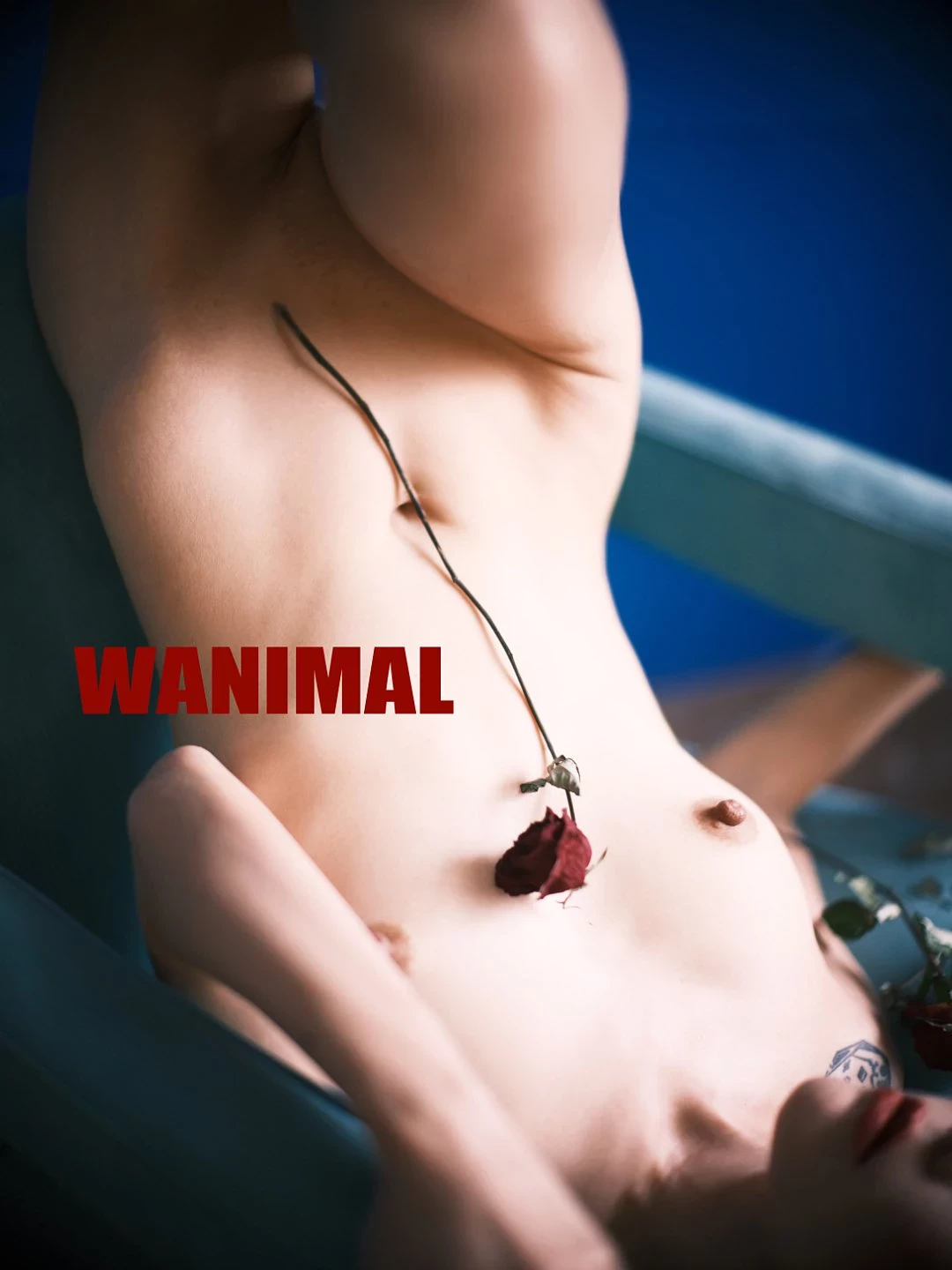 (攝影師)@WANIMAL912 (343P)