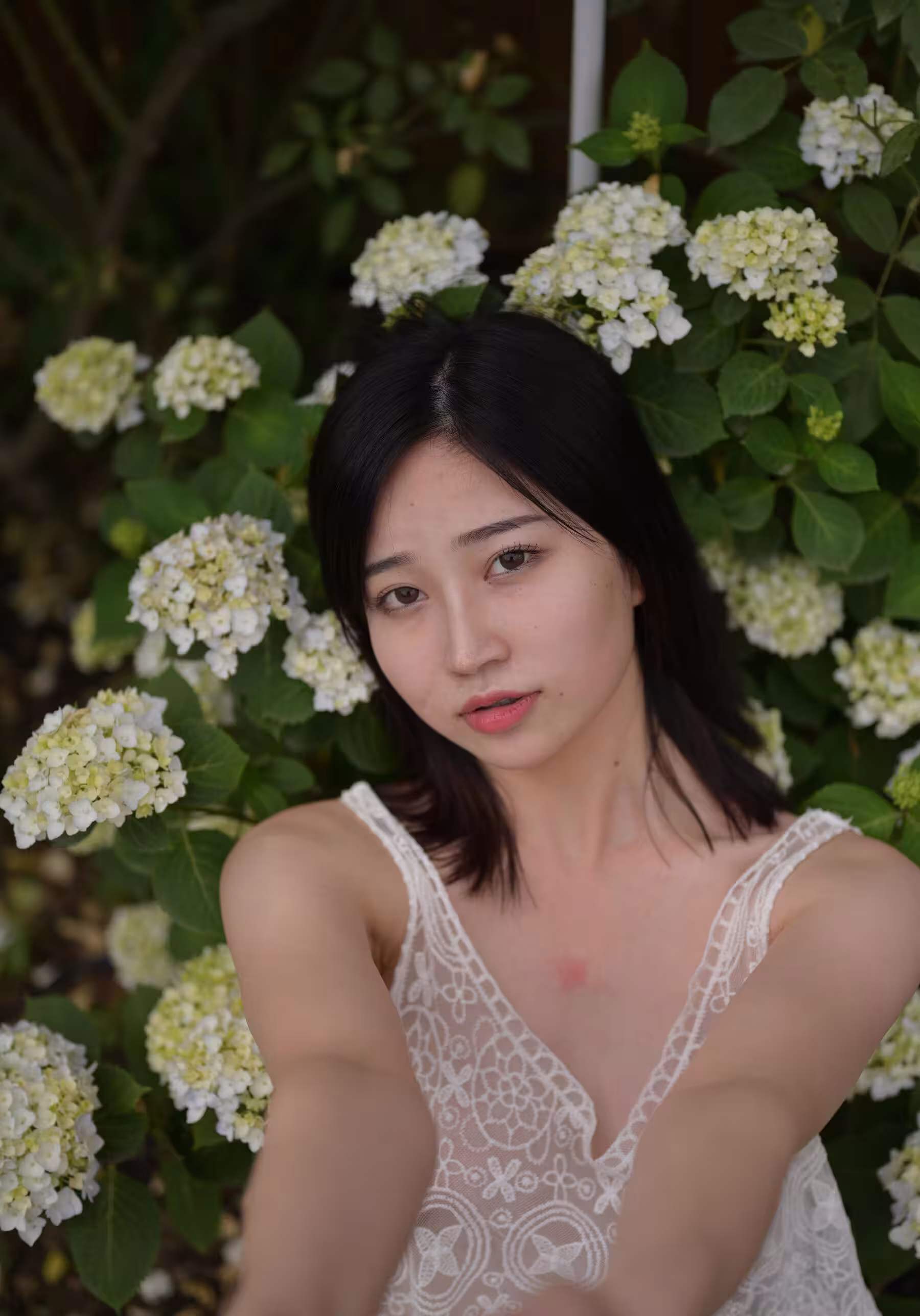年年(Photo)《院子》DISK3 (423P)