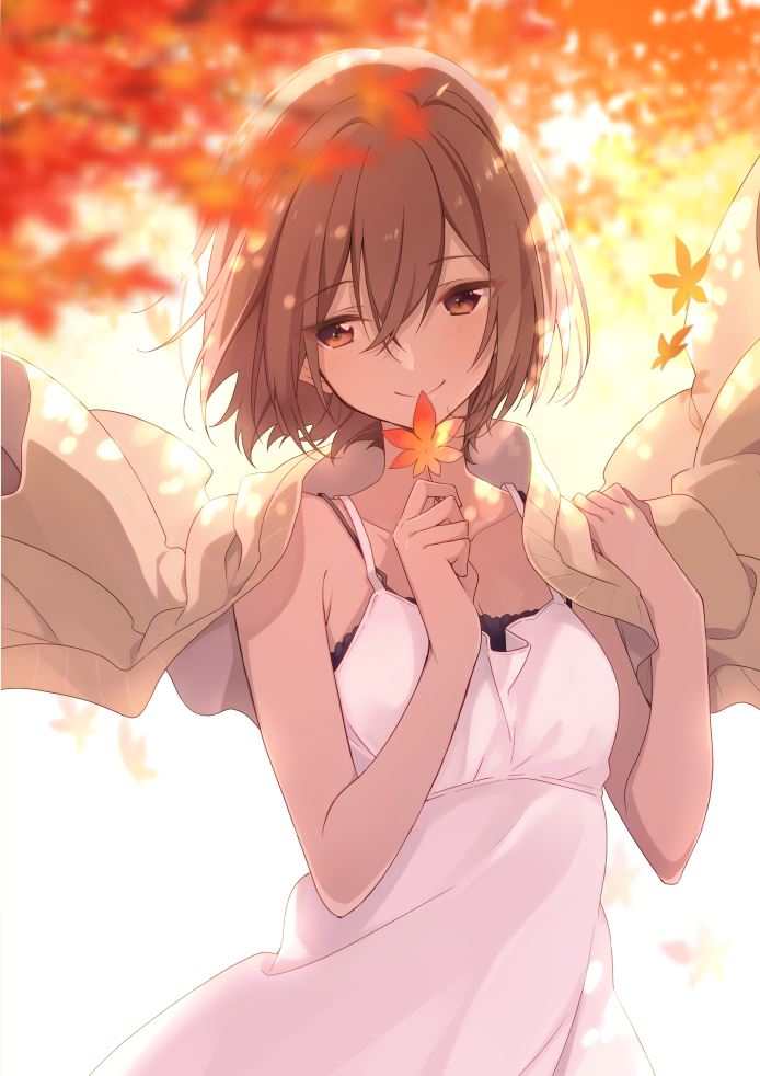 P站画师推荐 二次元连衣裙少女萌图动漫图片合集