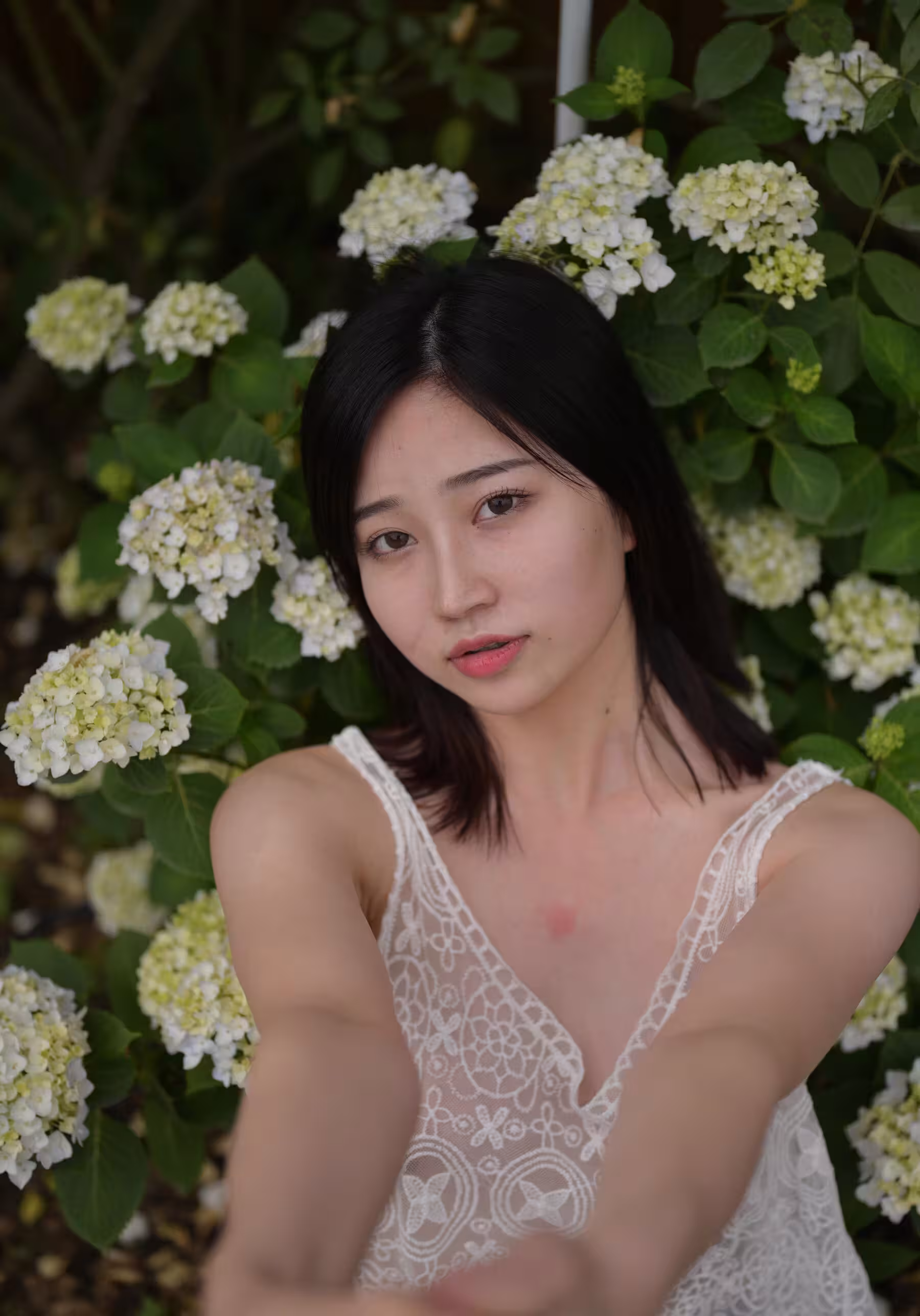 年年(Photo)《院子》DISK3 (423P)