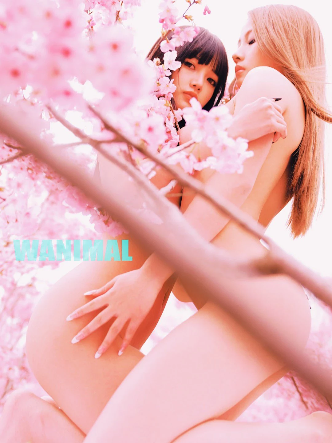 (攝影師)@WANIMAL912 (343P)