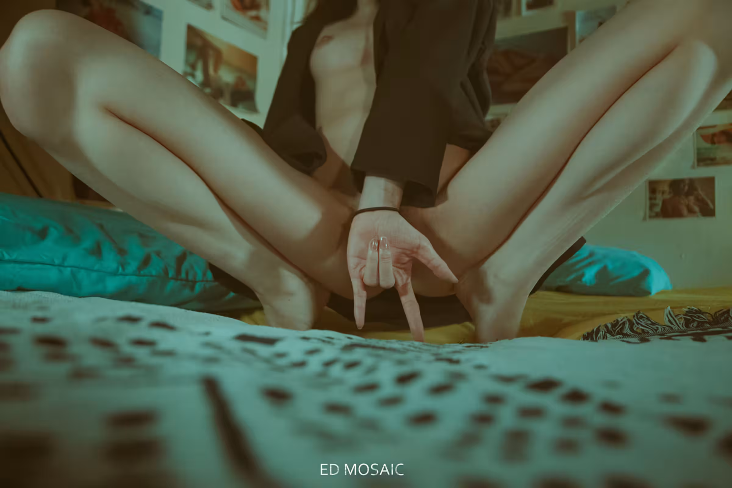 (ED Mosaic)攝影師 Ed Mosaic 作品集一 (438P)