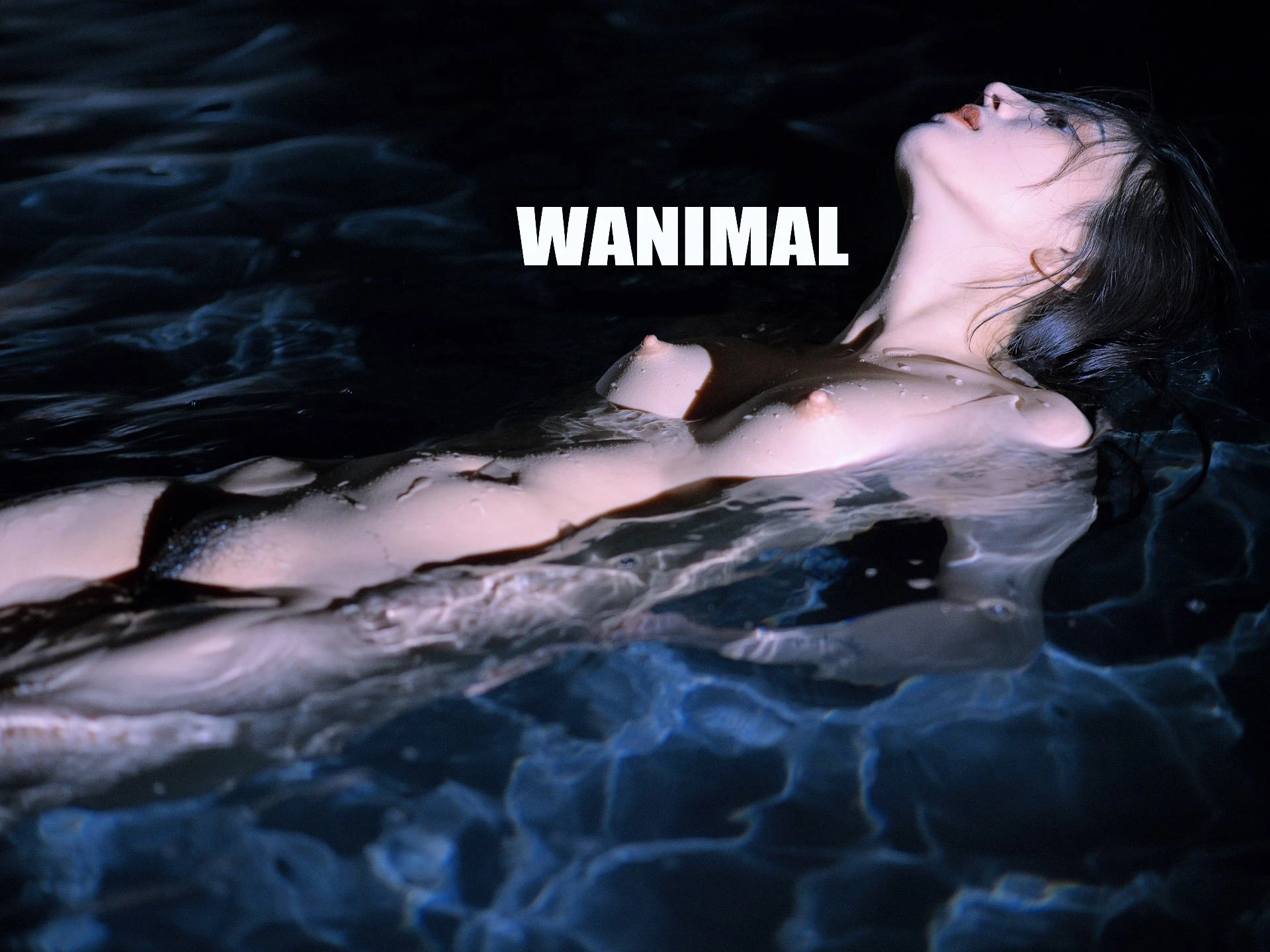 (攝影師)@WANIMAL912 (343P)