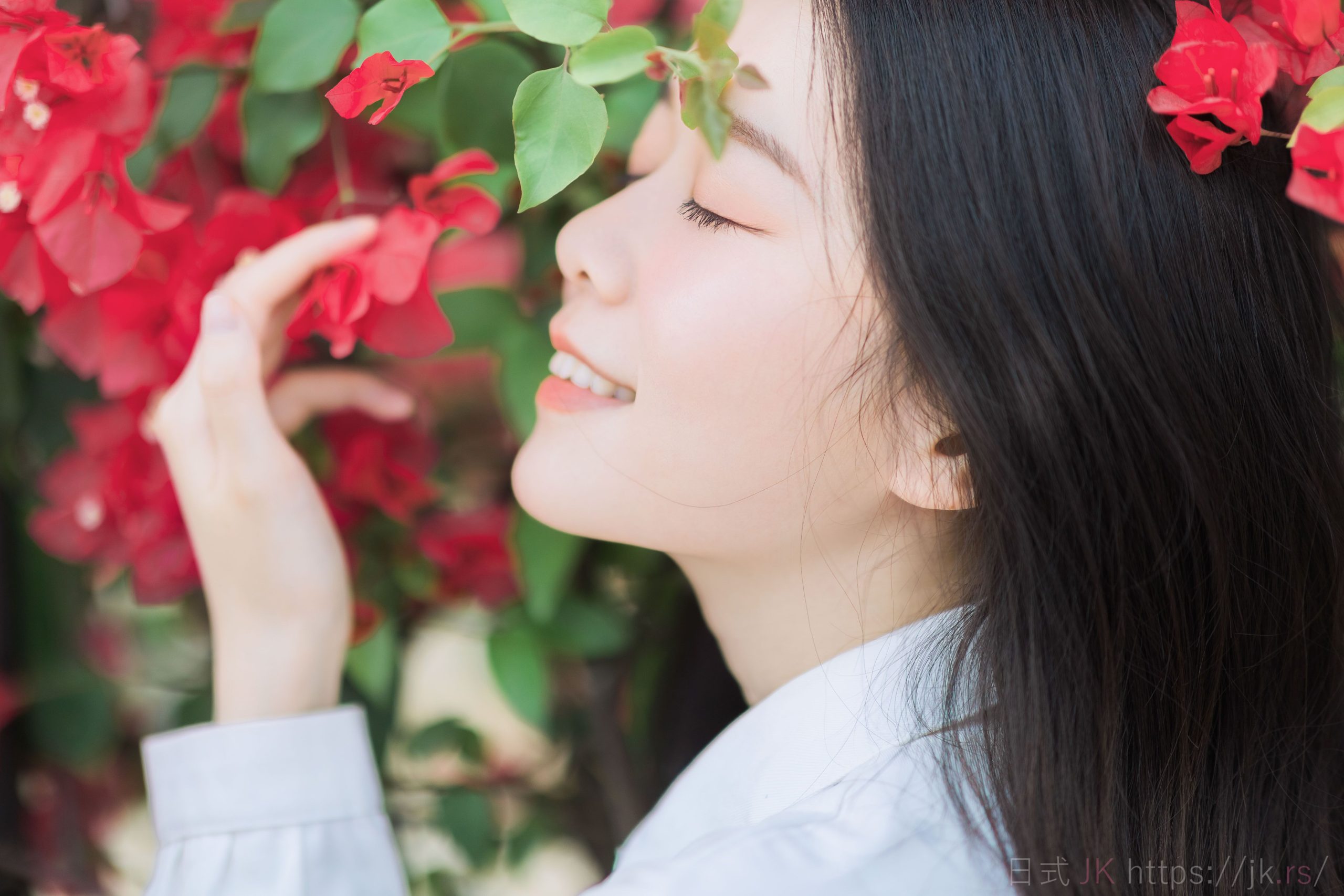 夏天の风