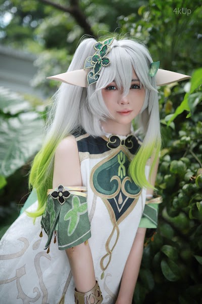 Coser@上杉绘梨落 纳西妲