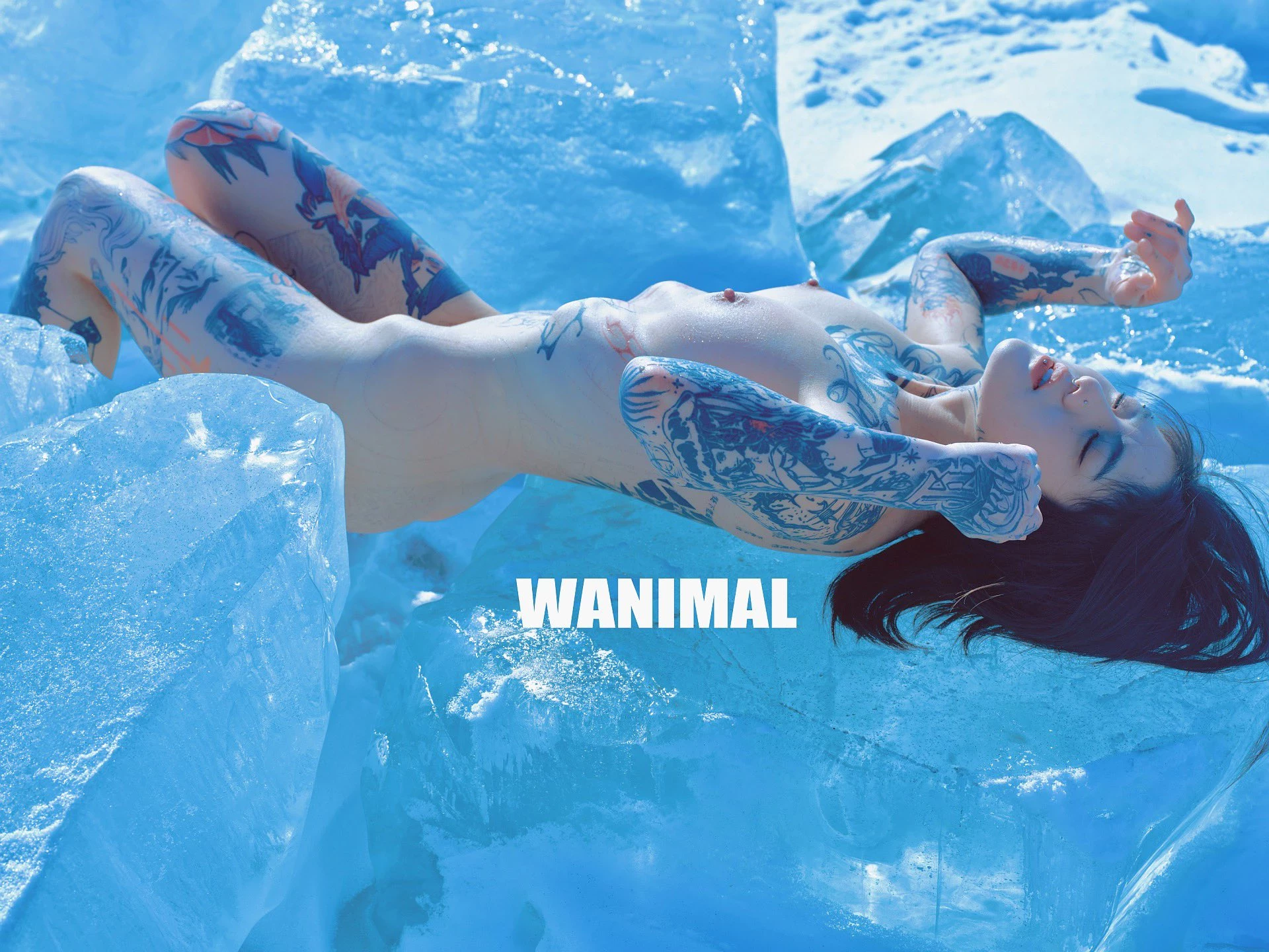 (攝影師)@WANIMAL912 (343P)