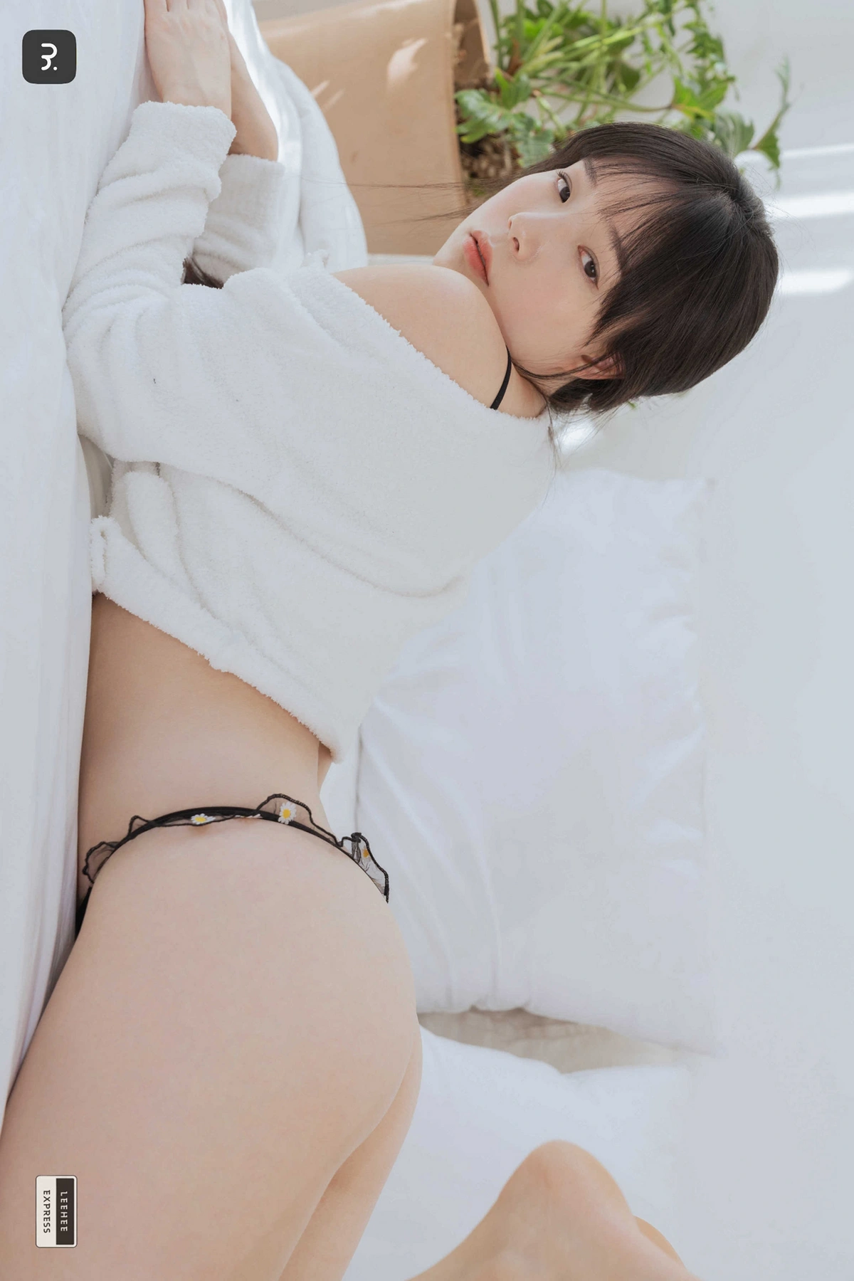 PIA 피아 Sir.Bean, LEEHEE EXPRESS LEHC-216A Set.01