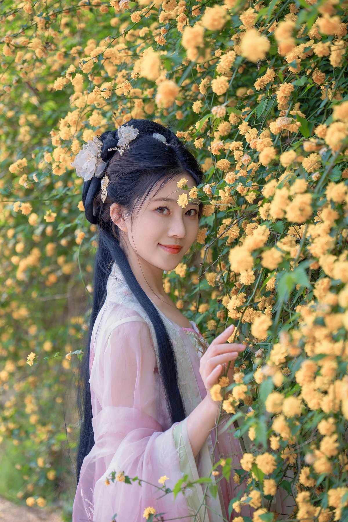 年年 – 海棠仙 [84P]