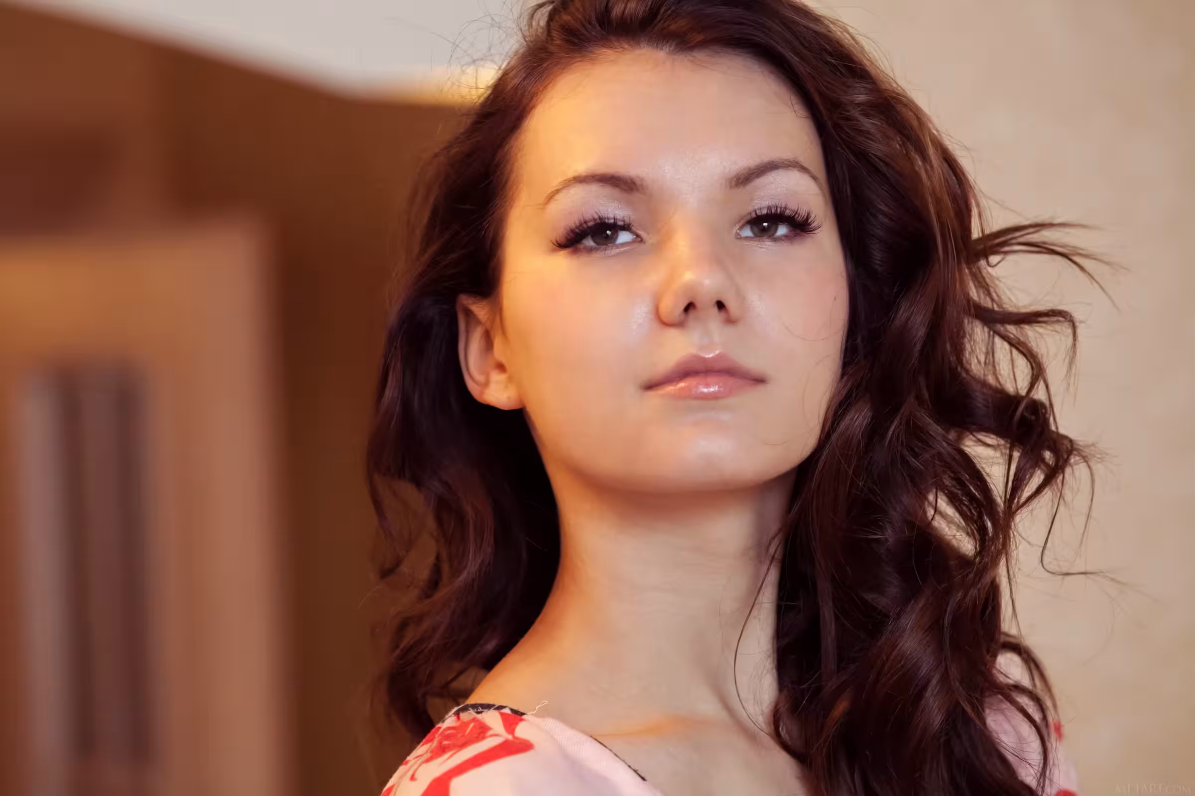 IVA – 在我的房間（111p）