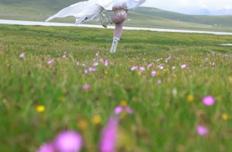 Coser@G44不会受伤 桃乐丝