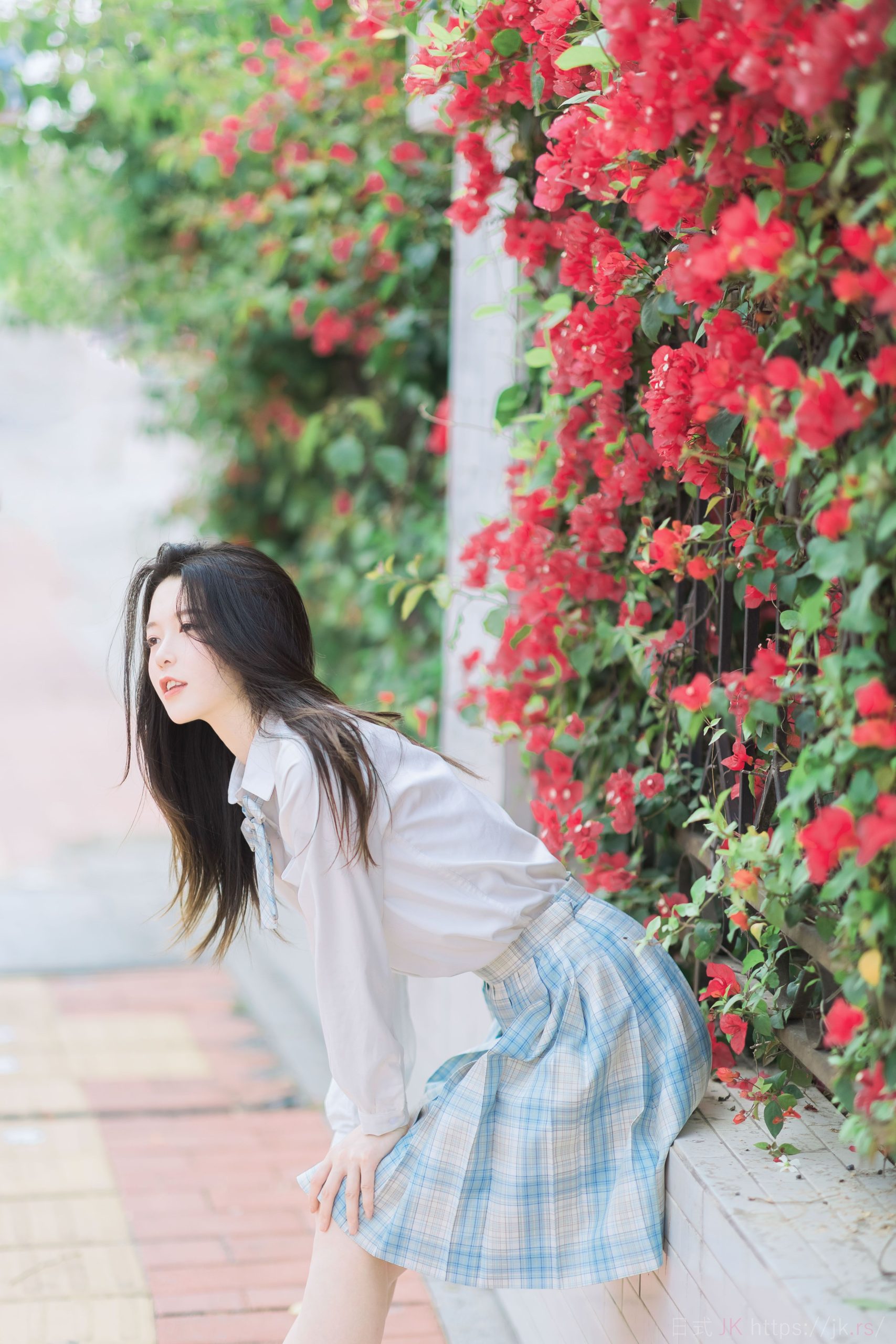 夏天の风