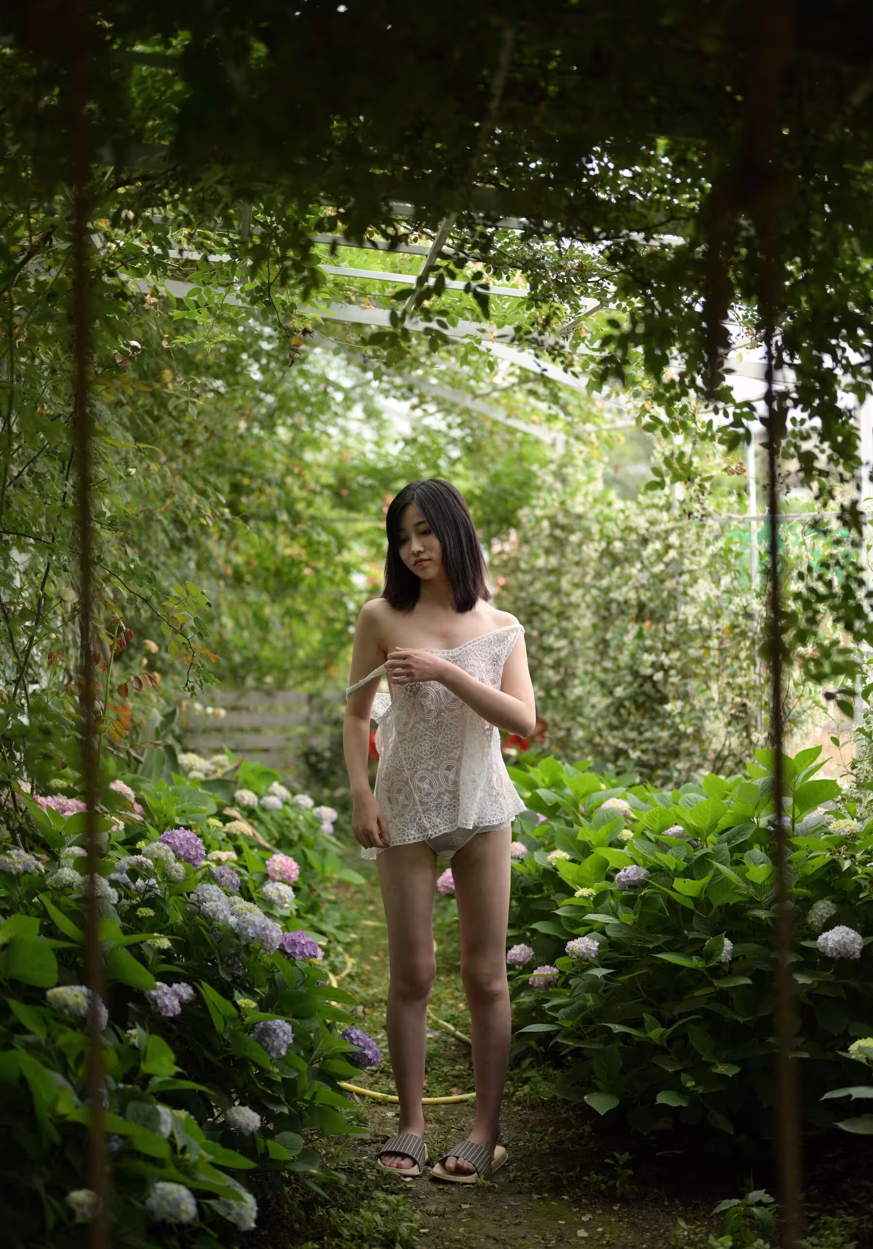 年年(Photo)《院子》DISK3 (423P)