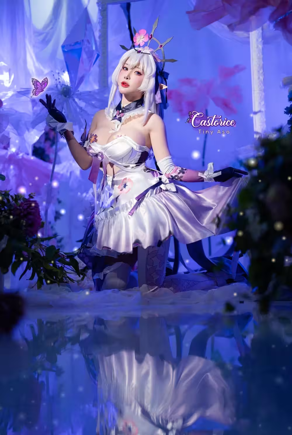 Tinny Asaアサ – Castorice（Honkai-Star Rail） –