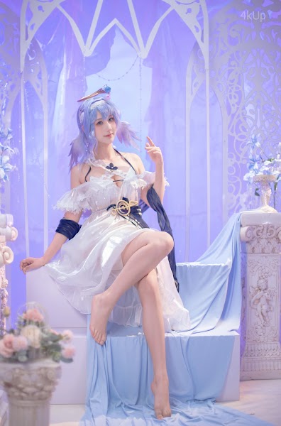 Coser@梓猫AzuNyan 2025年6月舰长合集