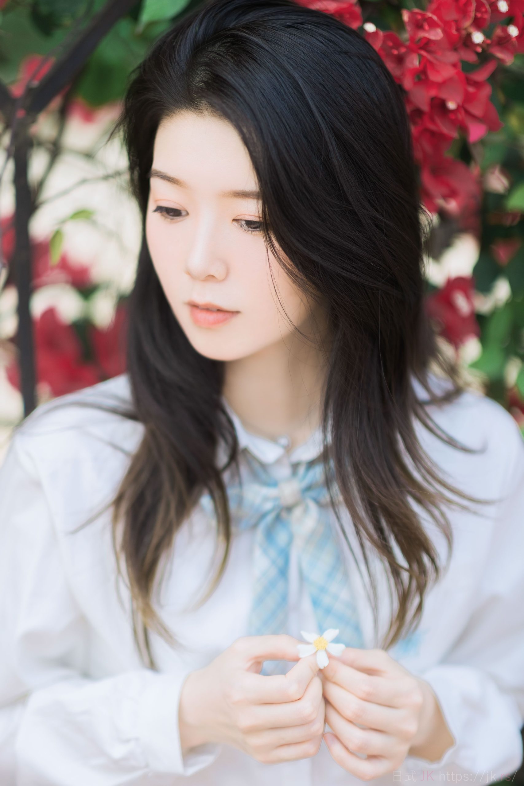 夏天の风