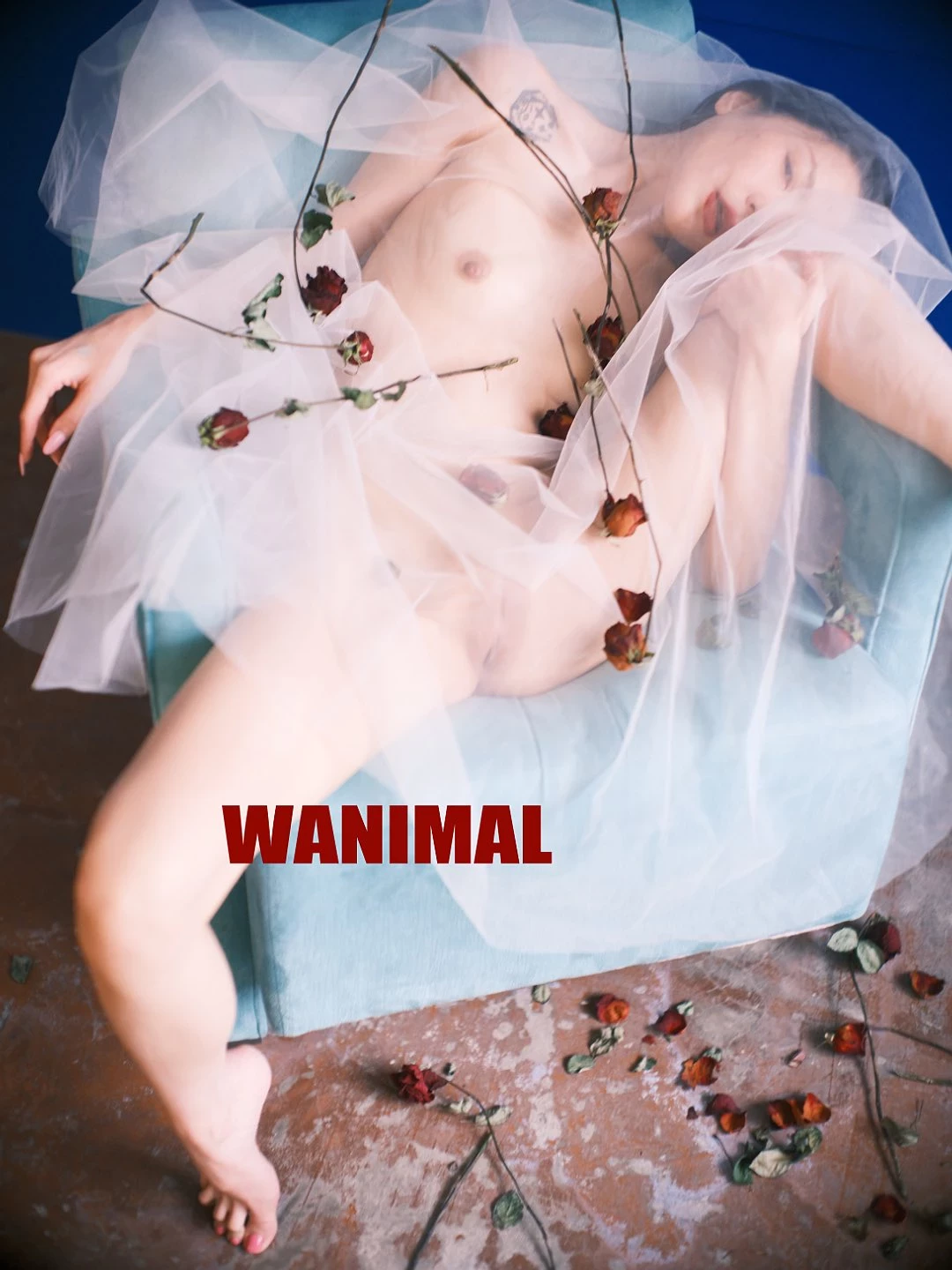 (攝影師)@WANIMAL912 (343P)
