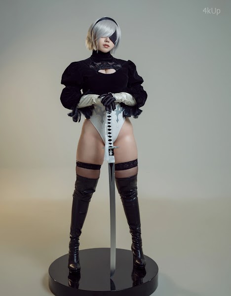 Coser@麻花麻花酱 尼尔机械纪元 2B