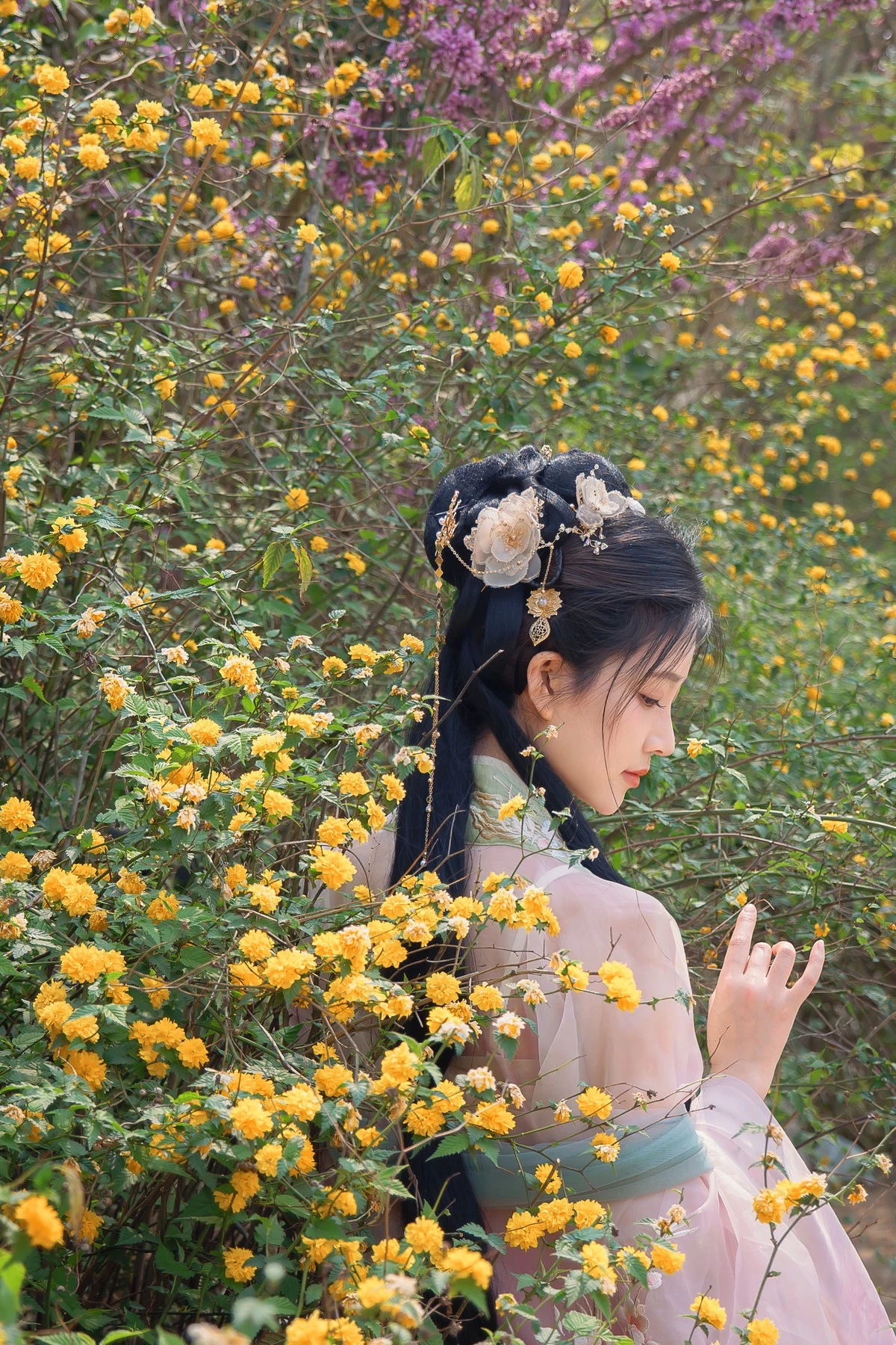 年年 – 海棠仙 [84P]