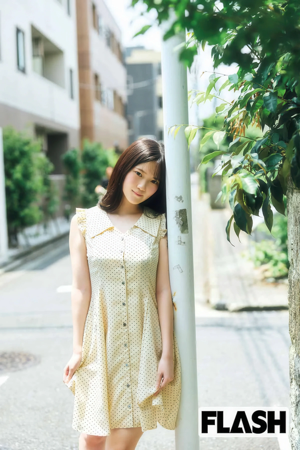 Chiimaki ちーまき, FLASH 2025.08.19-26 (フラッシュ 2025年8月19-26日号)