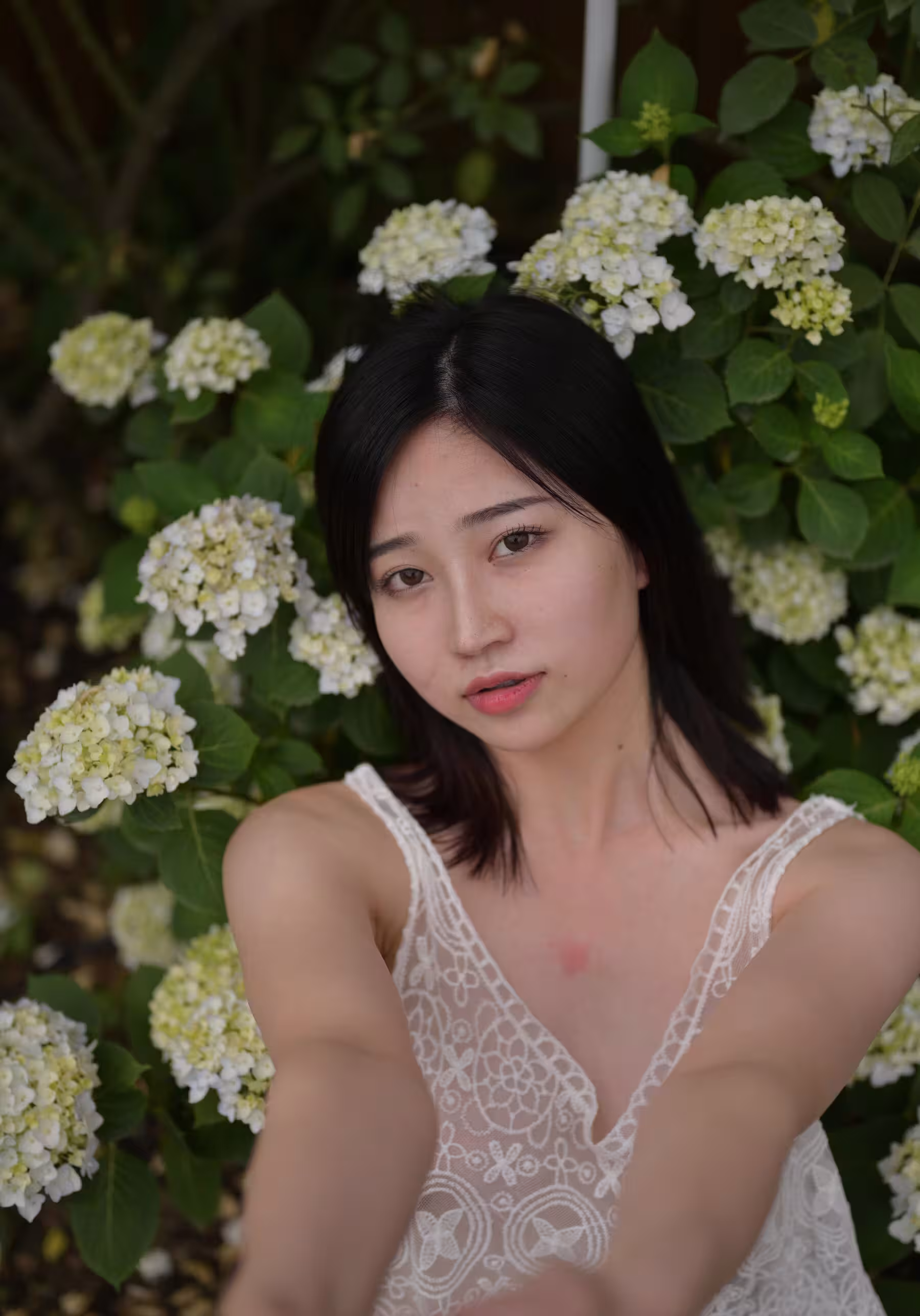 年年(Photo)《院子》DISK3 (423P)