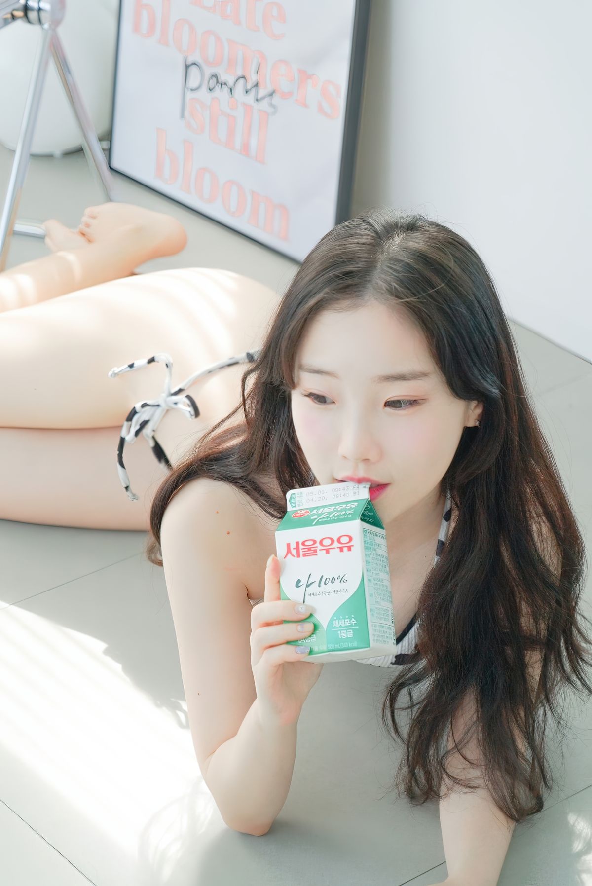 Pureding – Sexy Photobook 4 (52P – 2V)