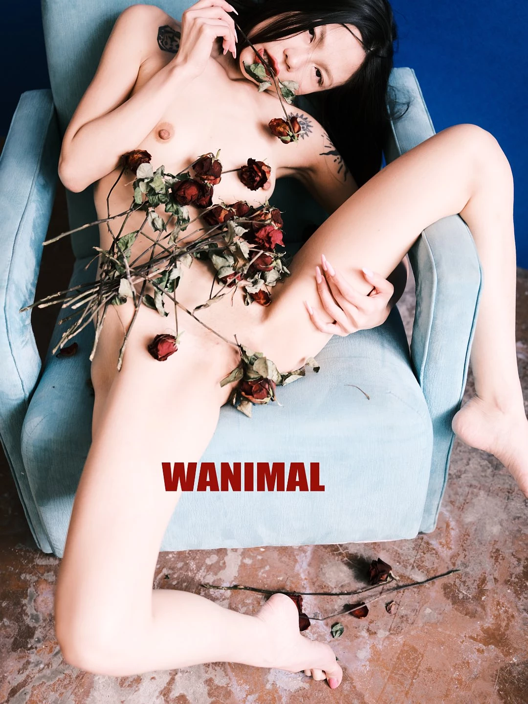 (攝影師)@WANIMAL912 (343P)