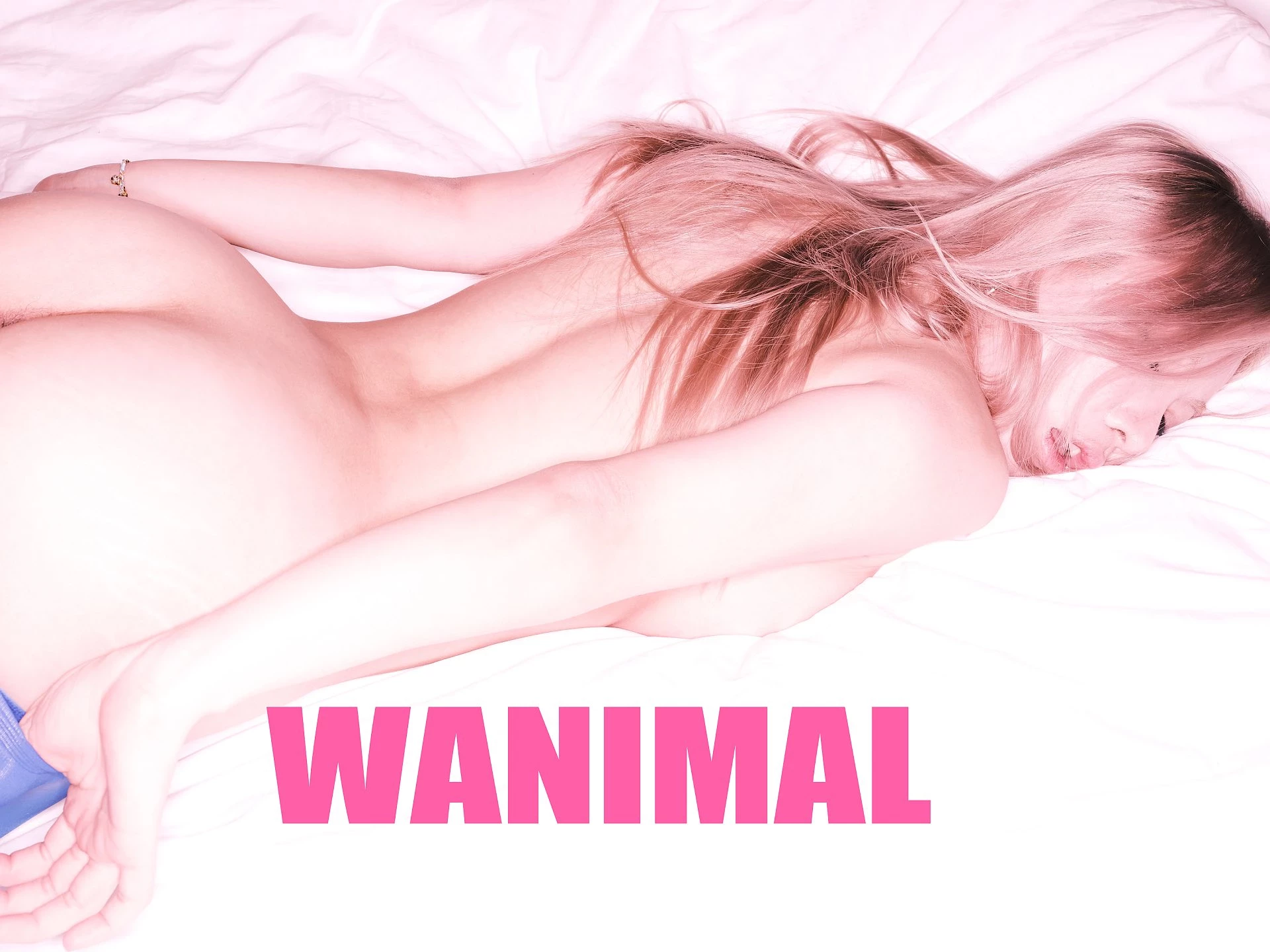(攝影師)@WANIMAL912 (343P)