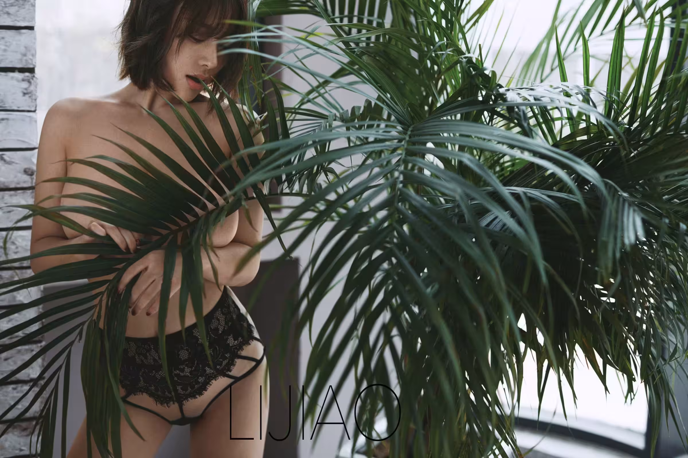 攝影師李嬌(Photo)(LIJIAO)作品集DISK1 (384P)