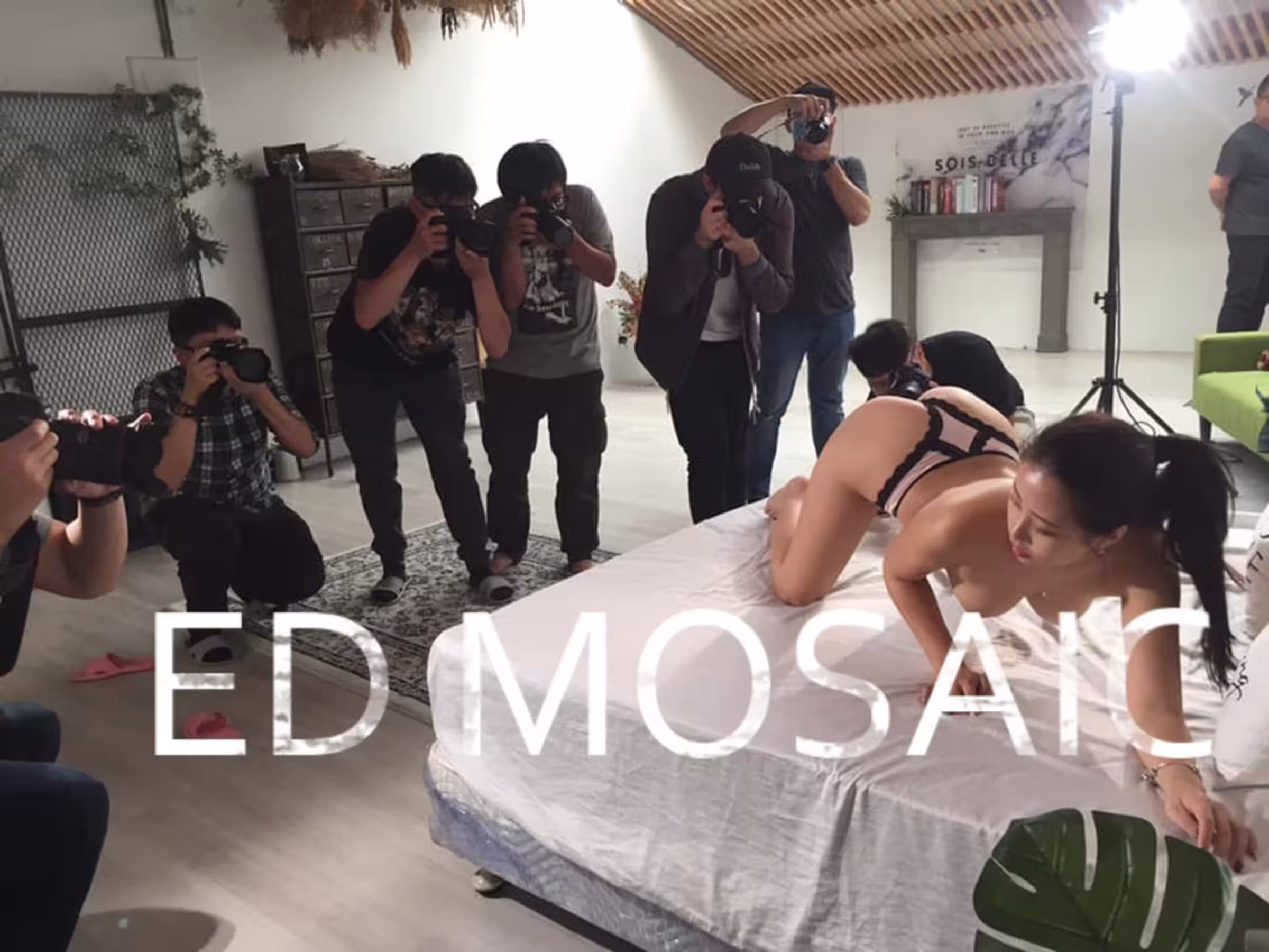 (ED Mosaic)攝影師 Ed Mosaic 作品集一 (438P)
