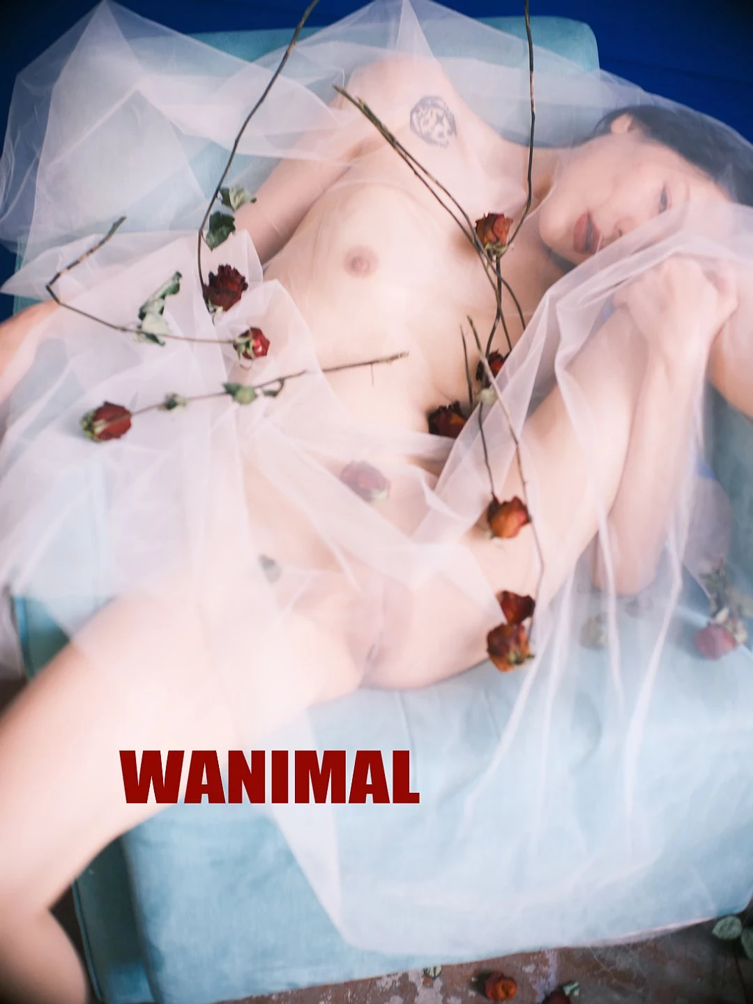 (攝影師)@WANIMAL912 (343P)