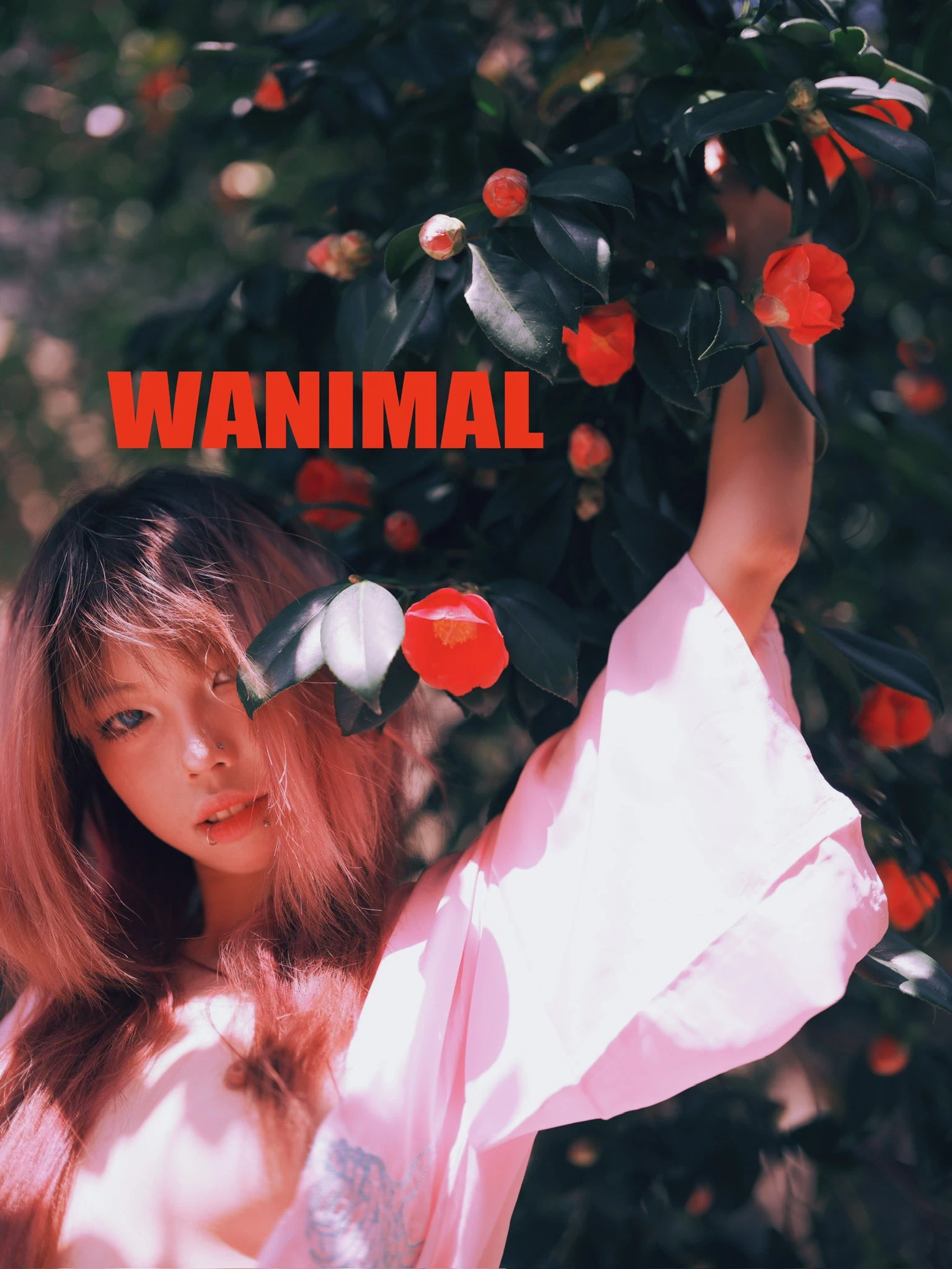 (攝影師)@WANIMAL912 (343P)