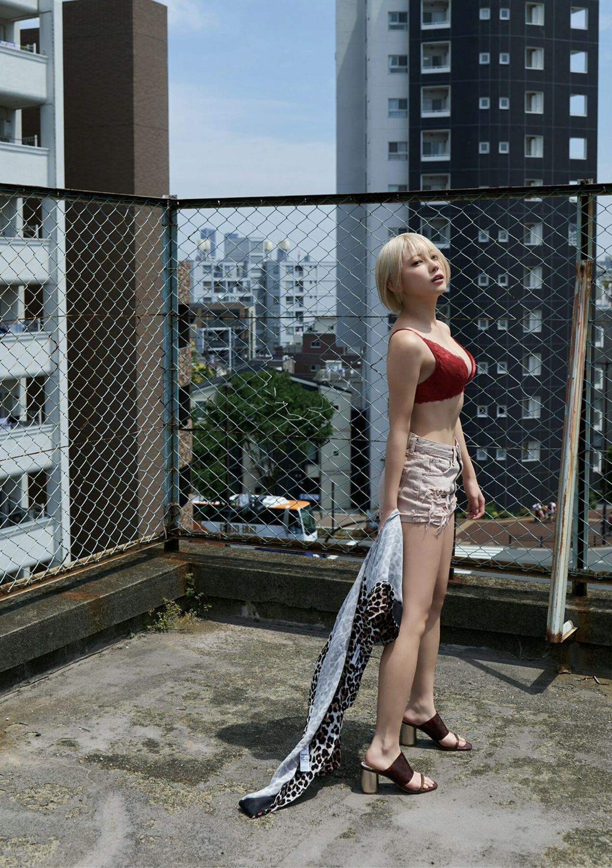 JP Kokoro 篠崎こころ – Attention (51P)