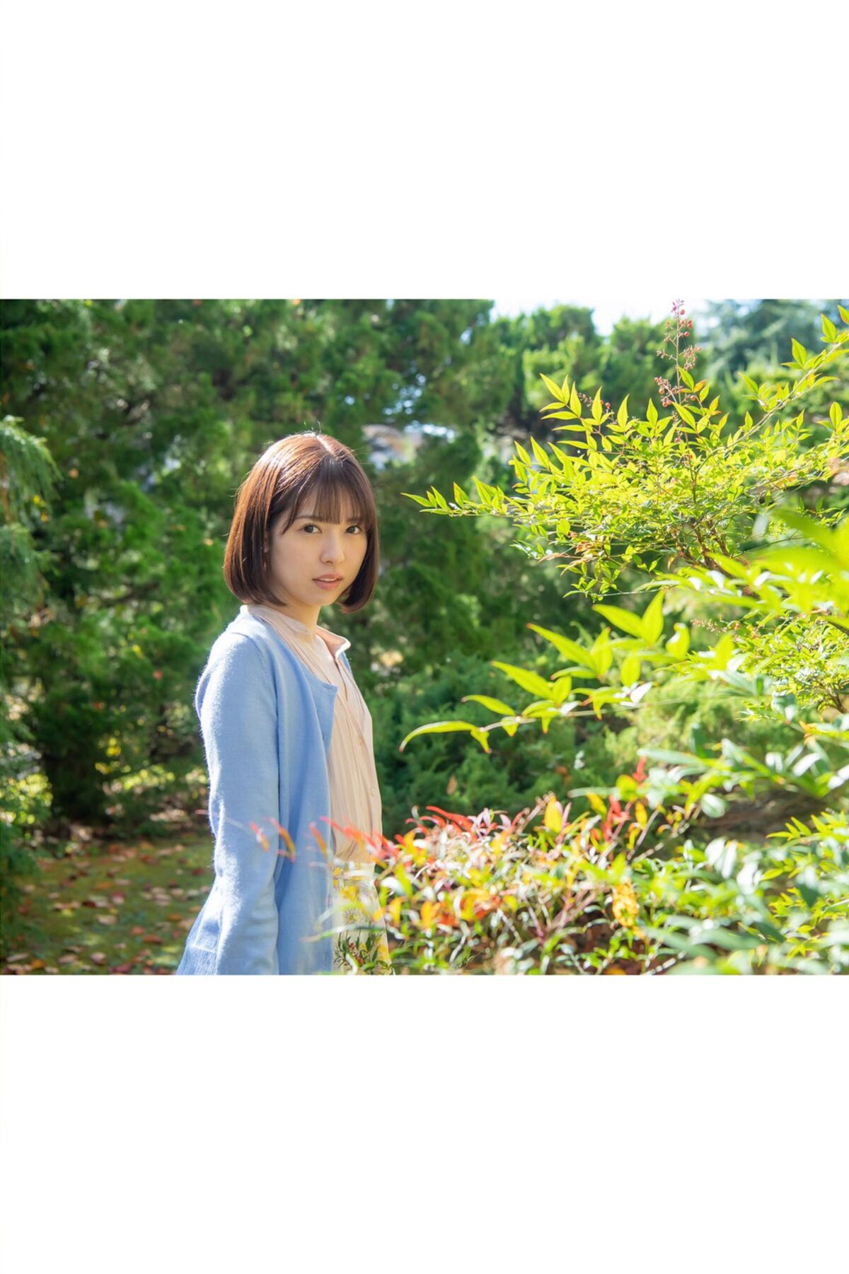 JP Rena Aoi あおいれな – NEMOPHILA グラビア写真集 (55P)