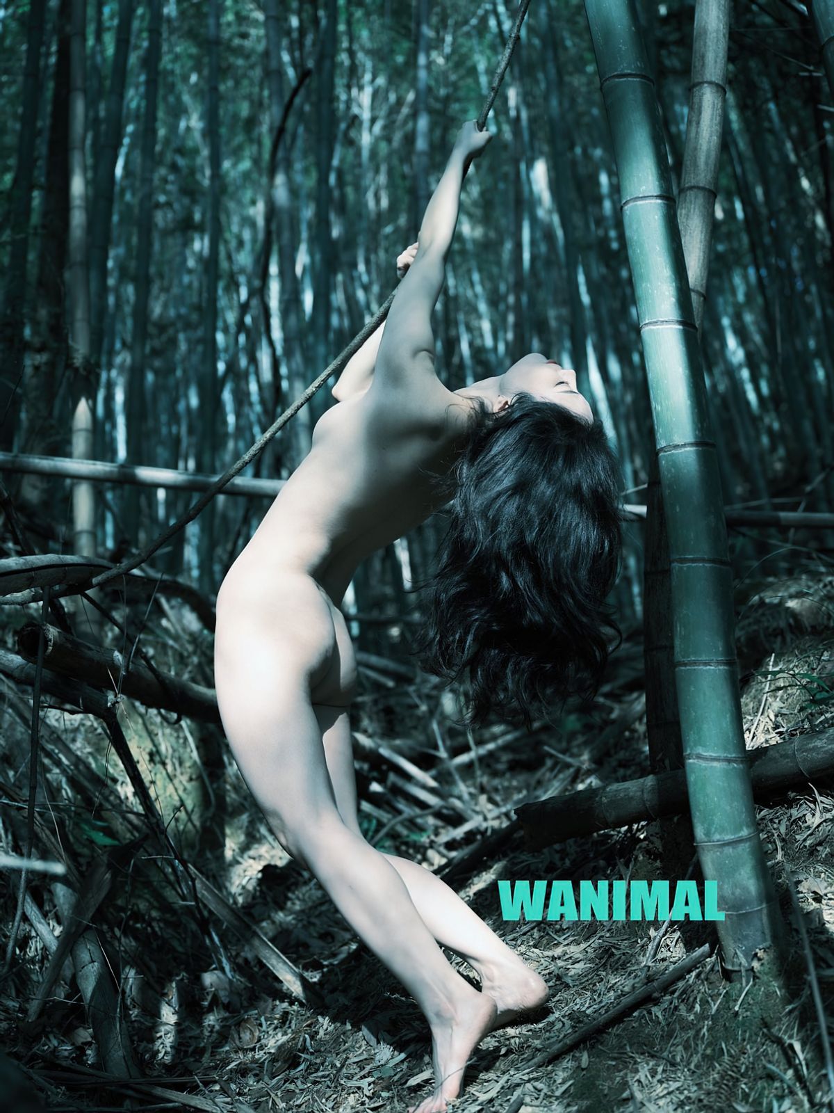 Coser@桃良阿宅 – 王动作品 (64P)