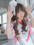 Coser@白银81 神社饲养的小狐狸