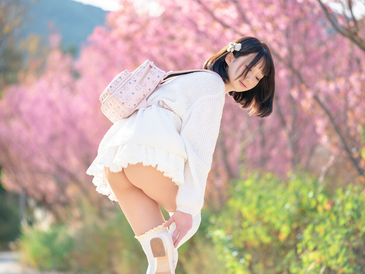 Coser@NAGISA魔物喵 – 桜 (65P)