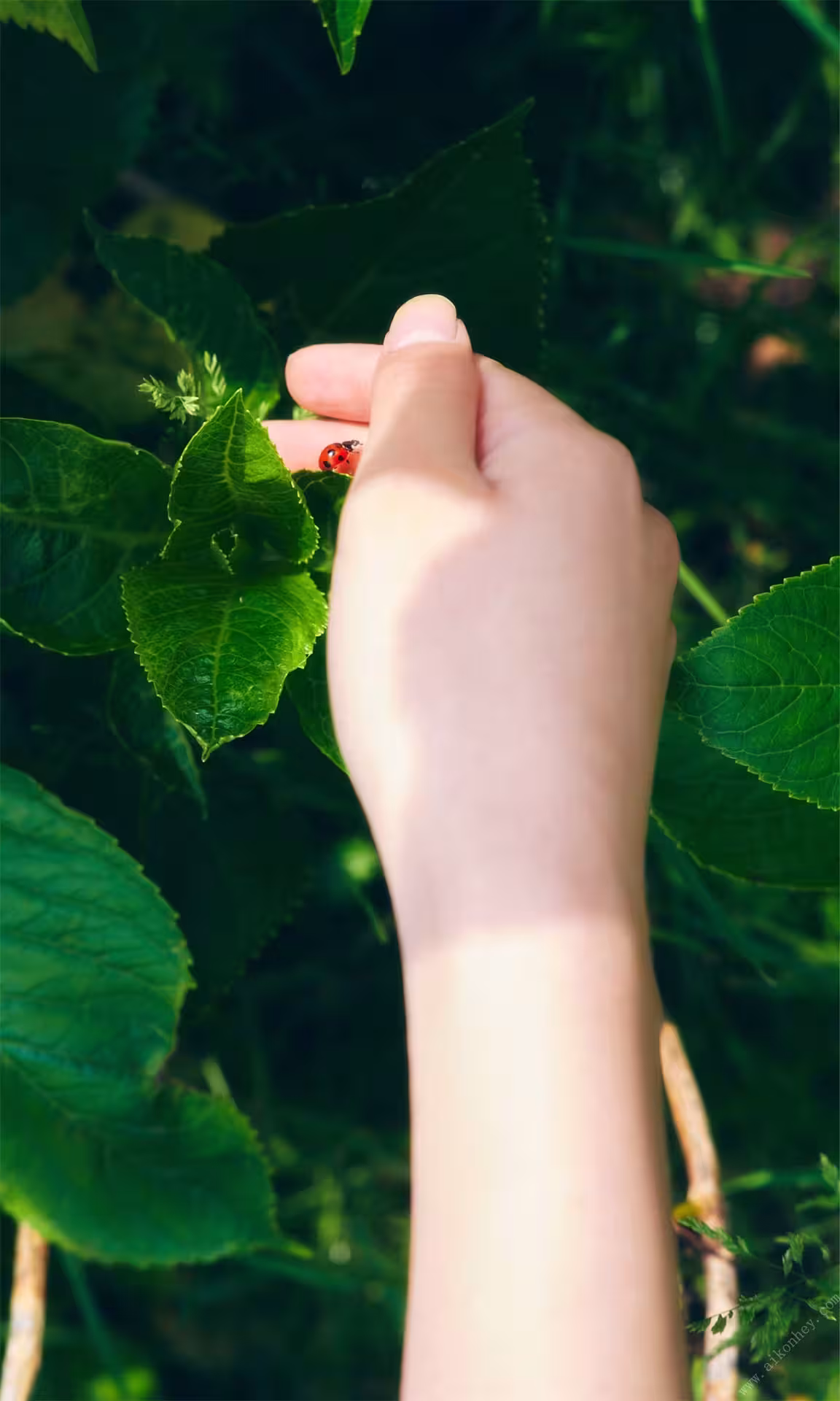 Coser@Sayo Momo – Magia Baiser Part3