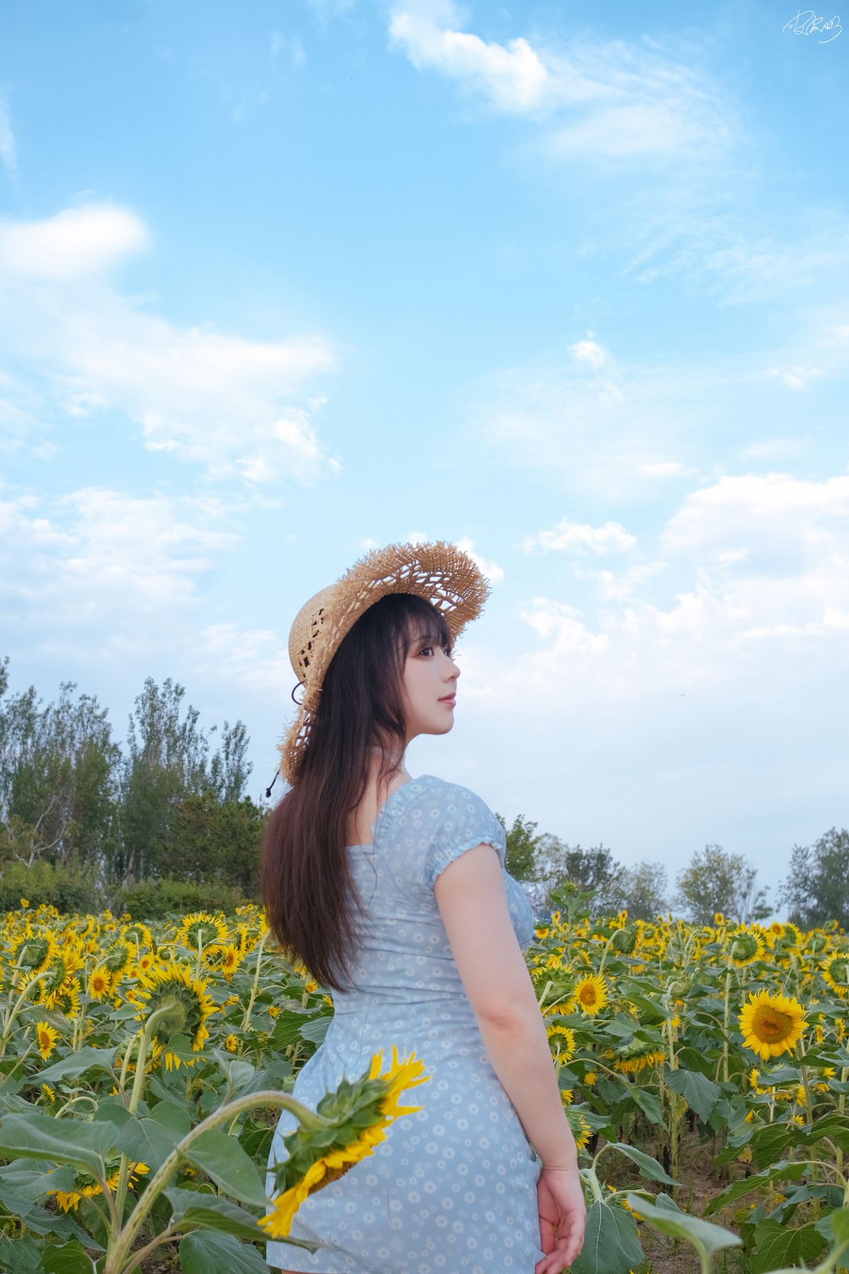 Coser@皮皮奶可可爱了啦 – 彼女向日葵 (36P)