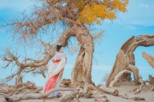 Coser@桜桃喵 惊鸿